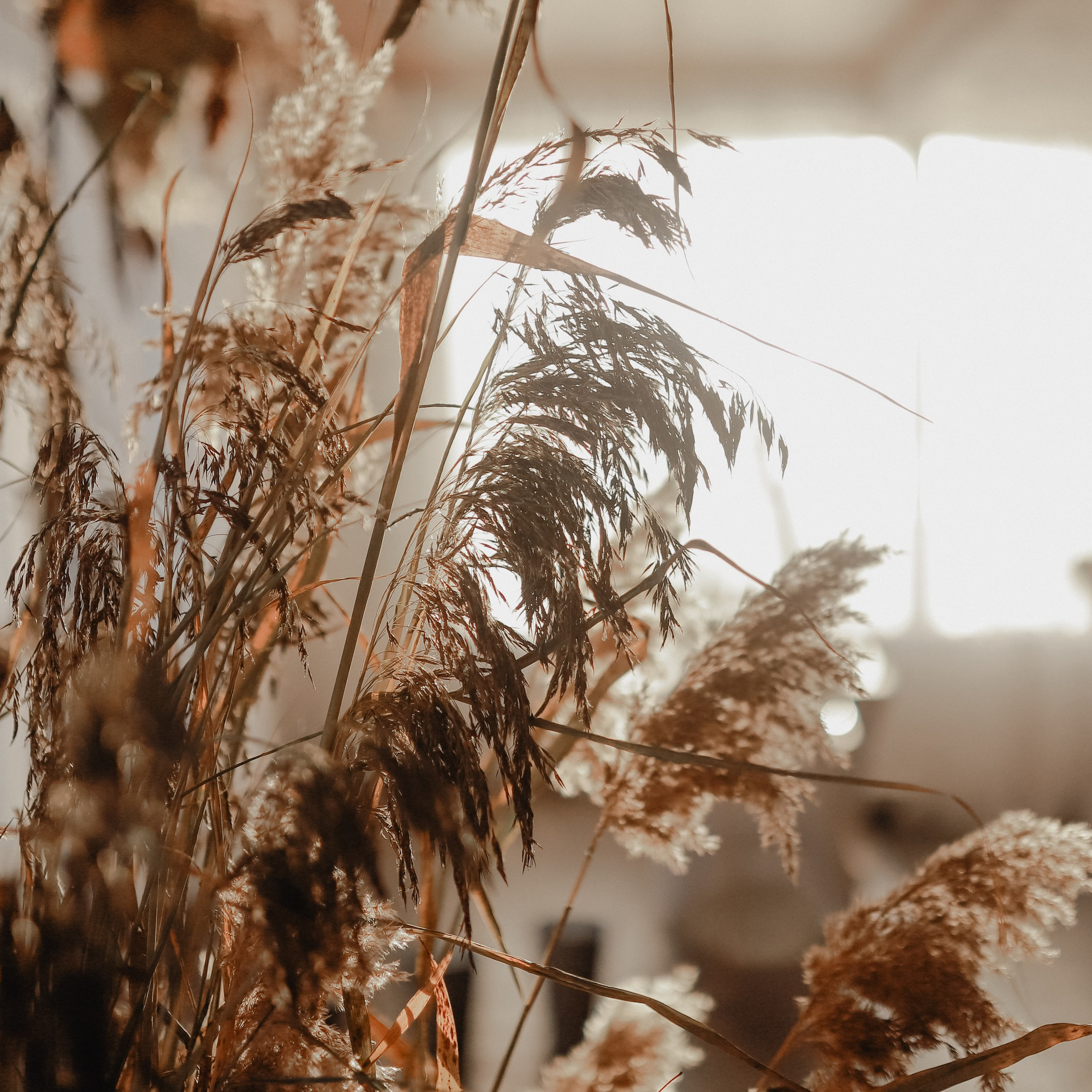 Марина и Тимофей. Lapeelapki | ФОТОГРАФИРУЮ СЧАСТЬЕ