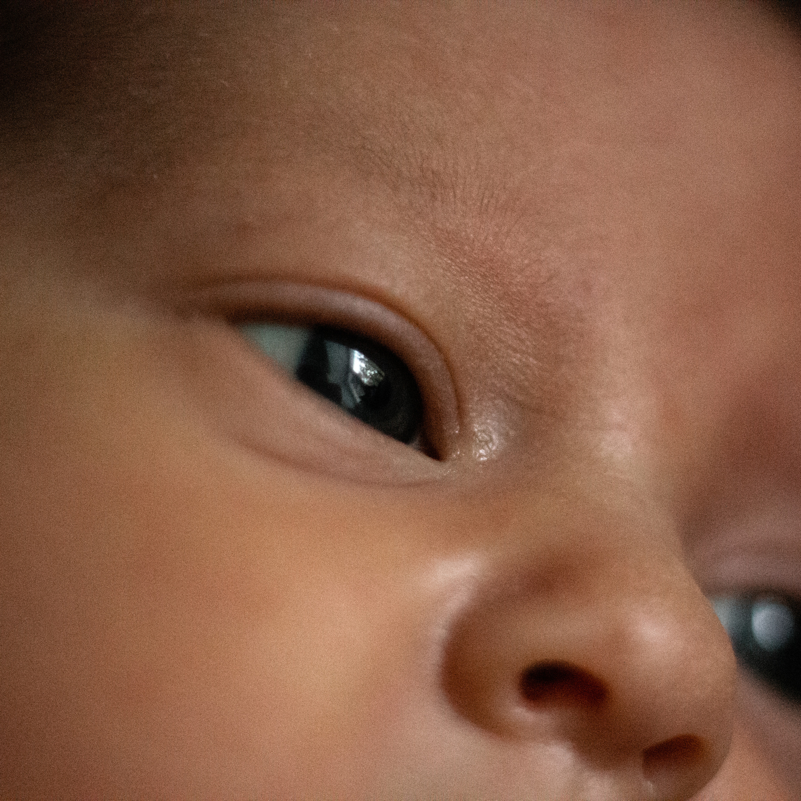 Евангелина. Lapeelapki | ФОТОГРАФИРУЮ СЧАСТЬЕ