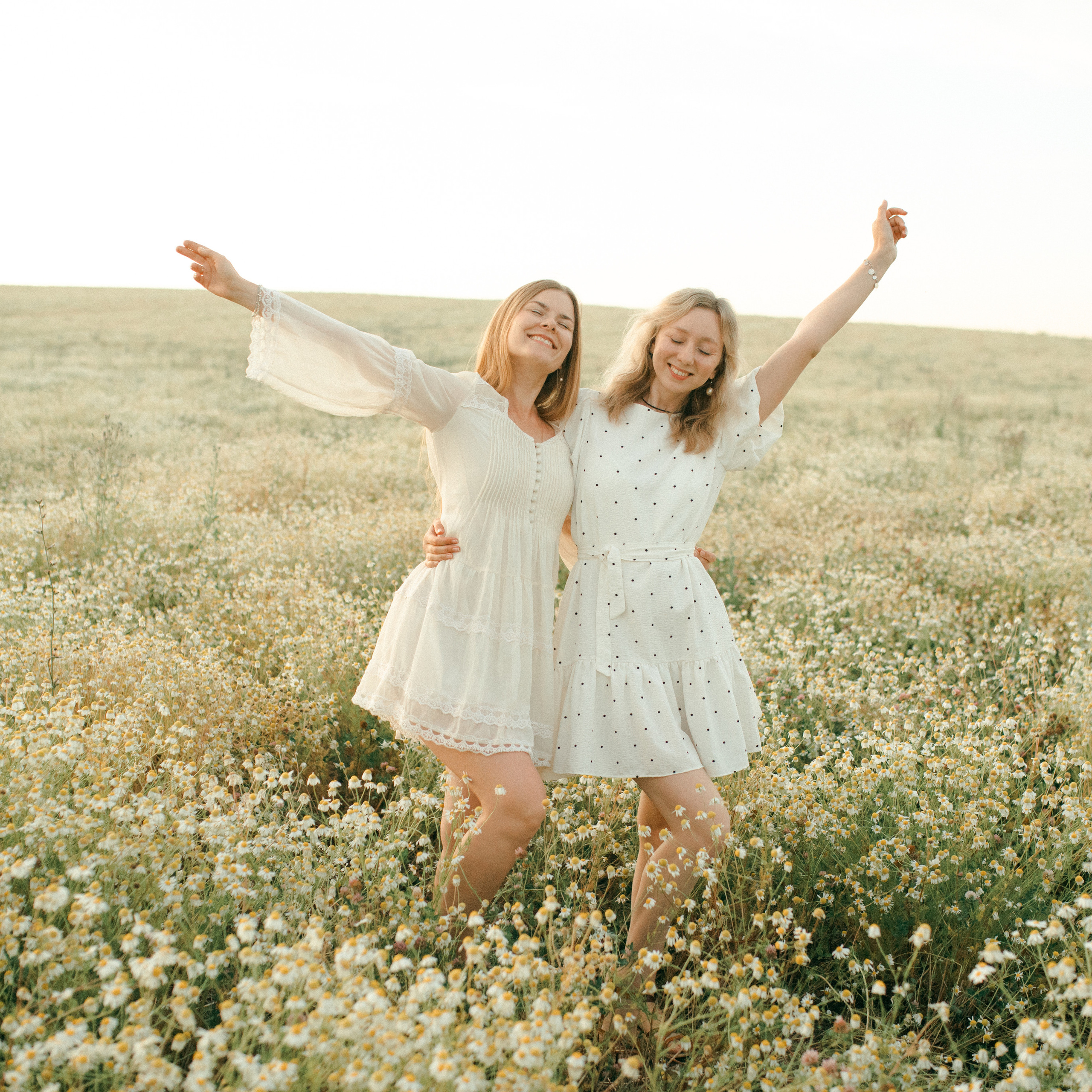 Ромашки. Lapeelapki | ФОТОГРАФИРУЮ СЧАСТЬЕ