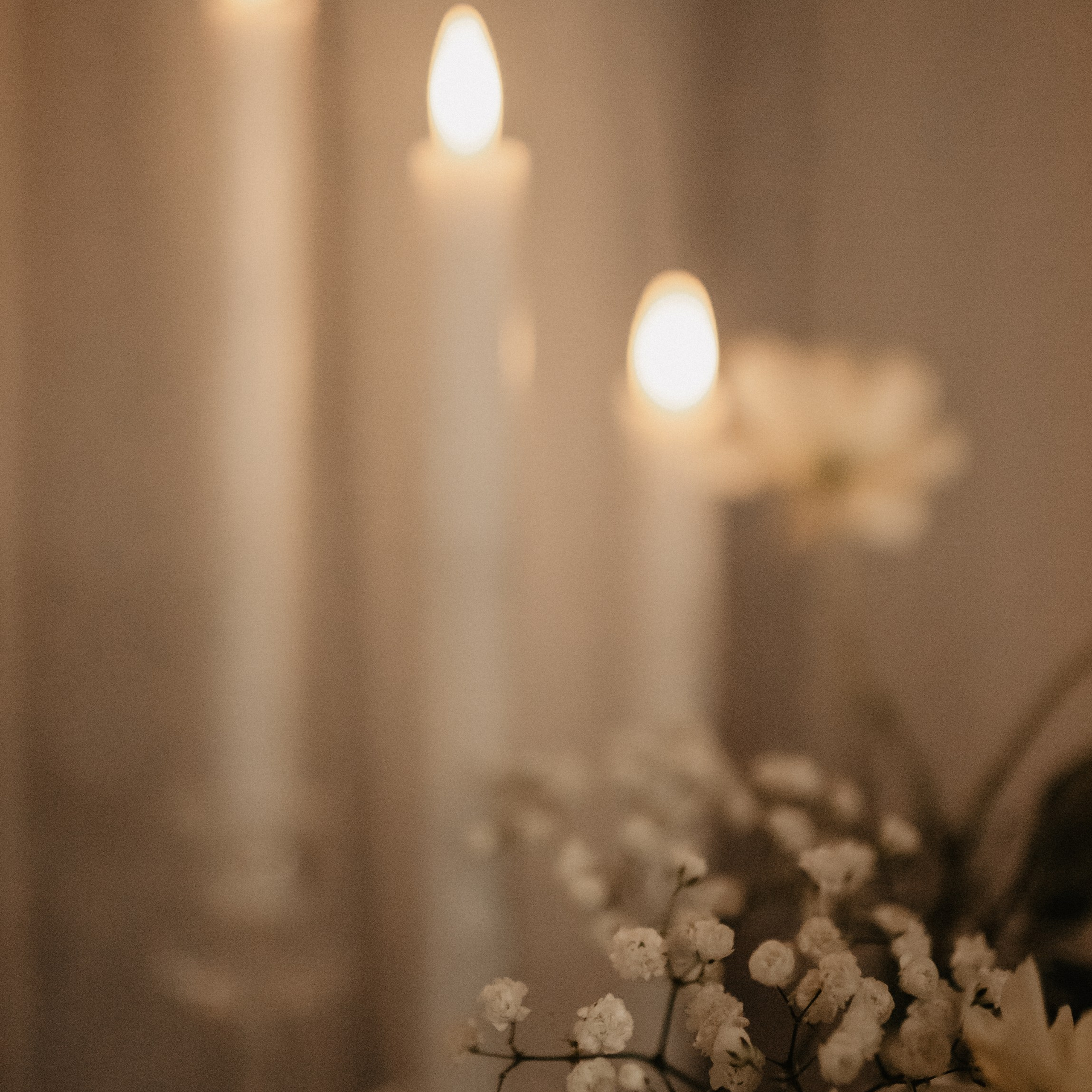 Марина и Тимофей. Lapeelapki | ФОТОГРАФИРУЮ СЧАСТЬЕ