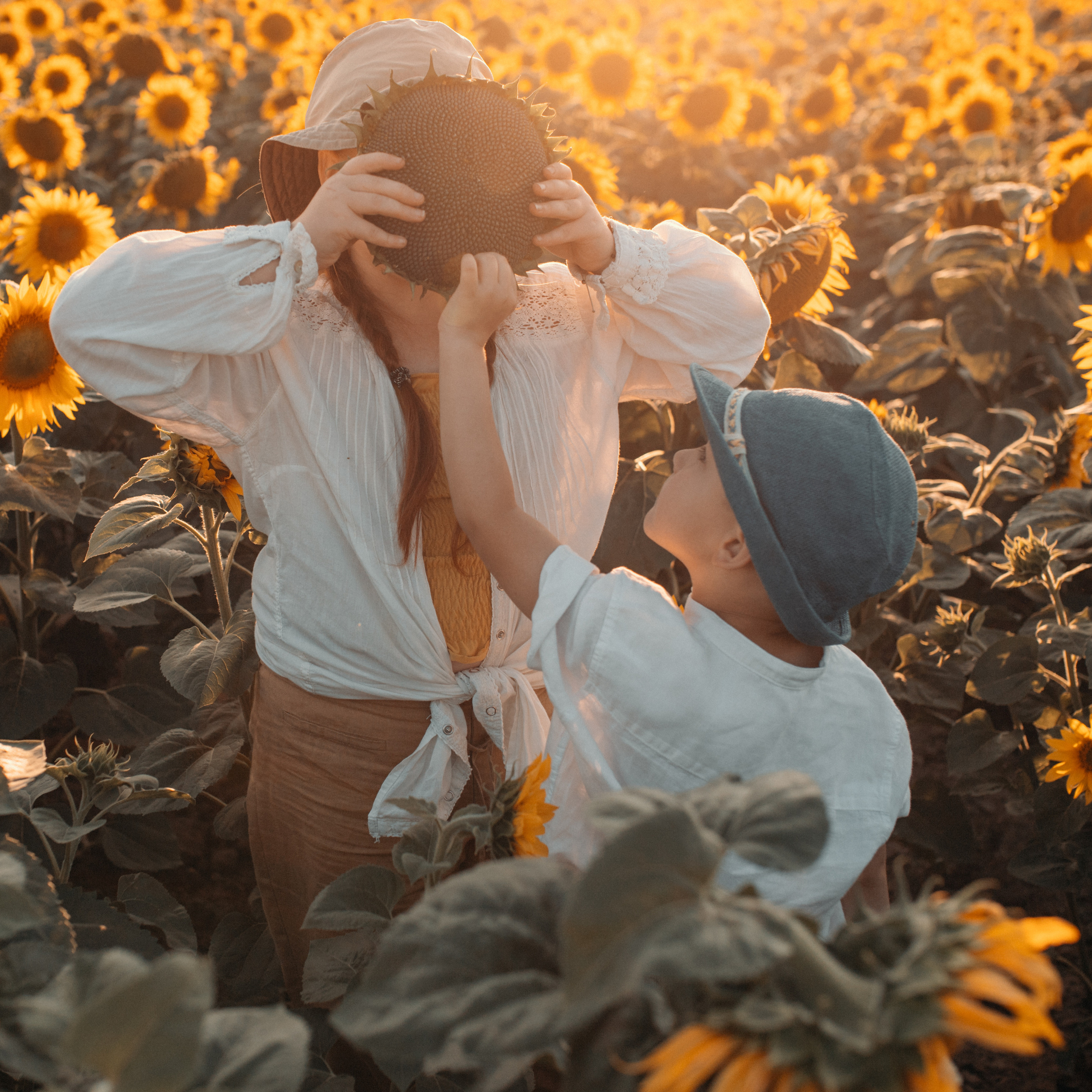 Подсолнухи. Lapeelapki | ФОТОГРАФИРУЮ СЧАСТЬЕ