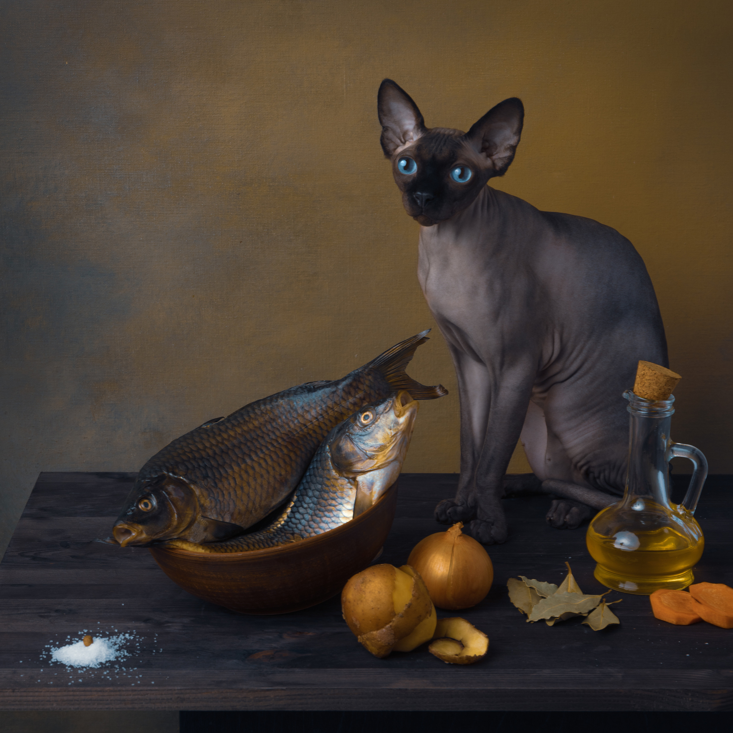 Дипломы. Савельева Ольга фотохудожник-портретист Москва