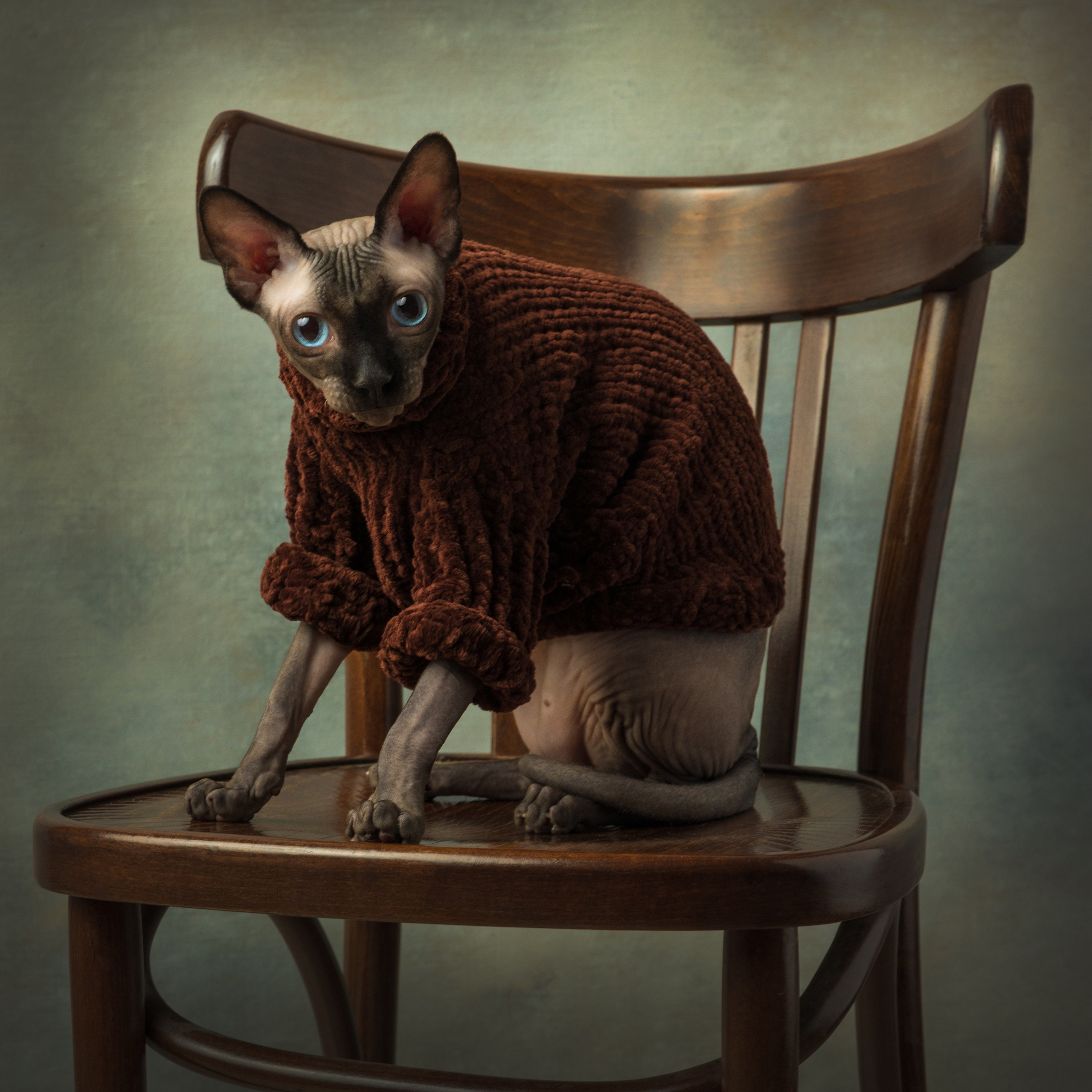 Дипломы. Савельева Ольга фотохудожник-портретист Москва