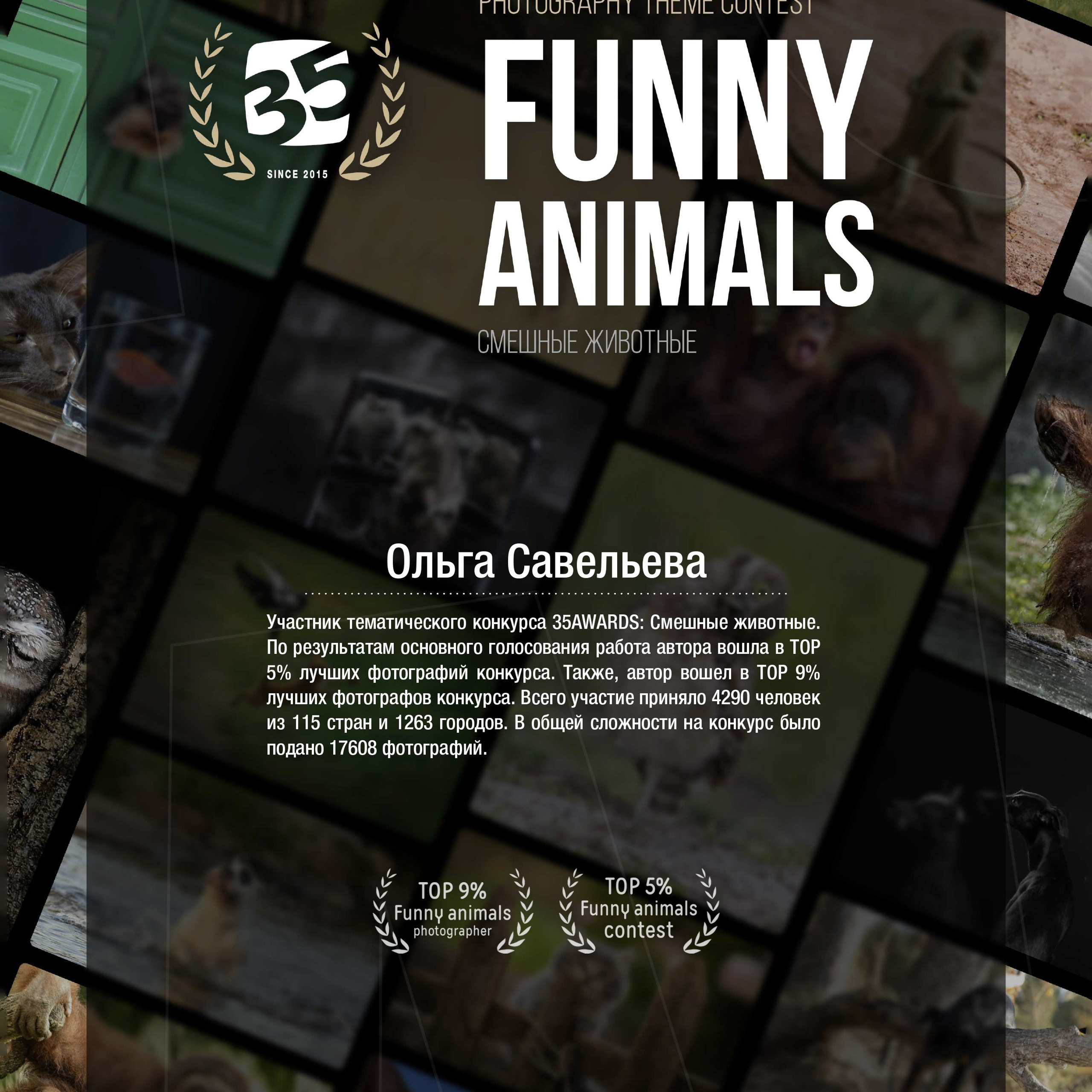 Дипломы. Савельева Ольга фотохудожник-портретист Москва