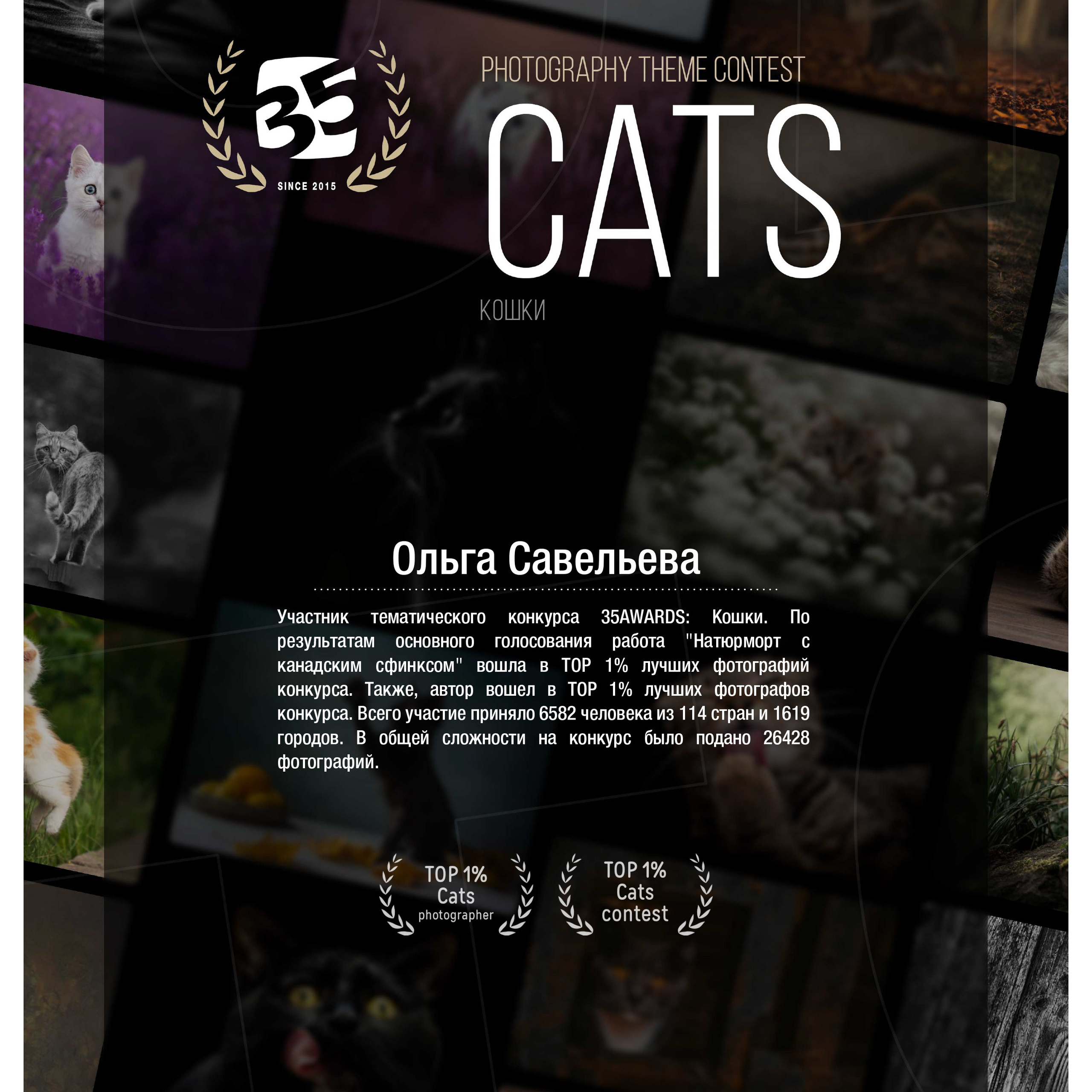 Дипломы. Савельева Ольга фотохудожник-портретист Москва