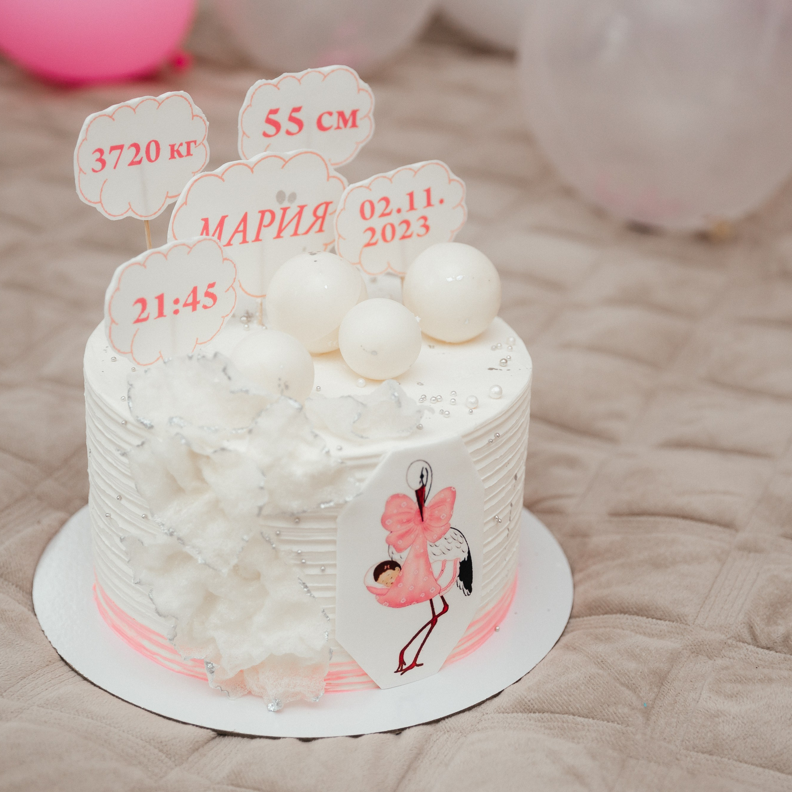 Отзывы. Фотограф Алиса Котанова