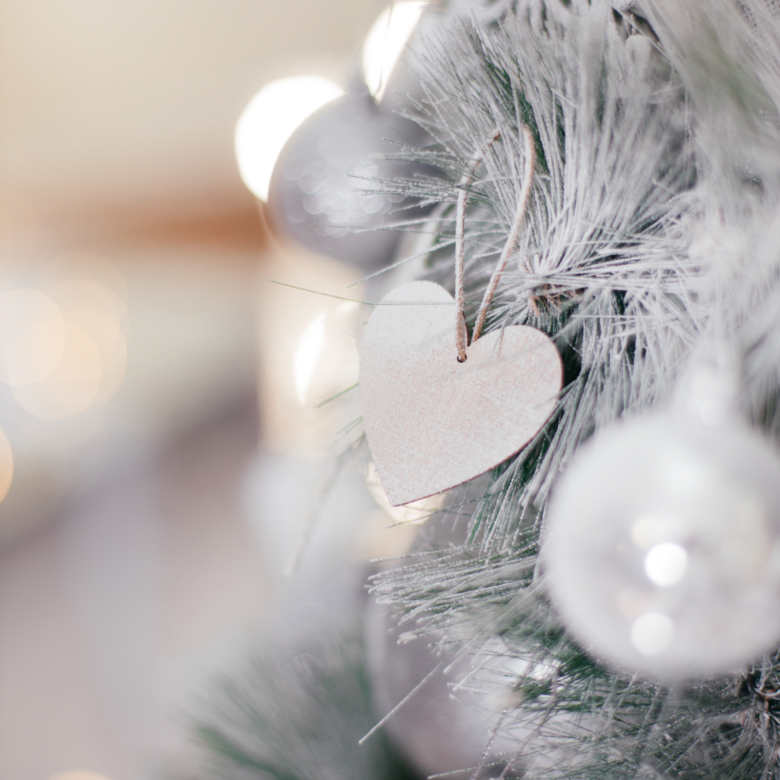 Отзывы. Фотограф Алиса Котанова