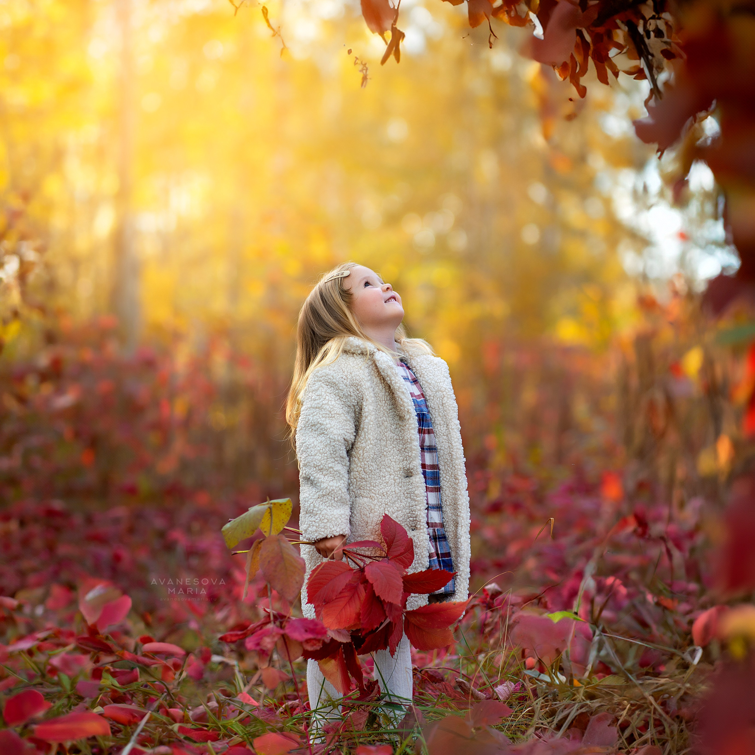 Портфолио. Детский и семейный фотограф в Москве Мария Аванесова