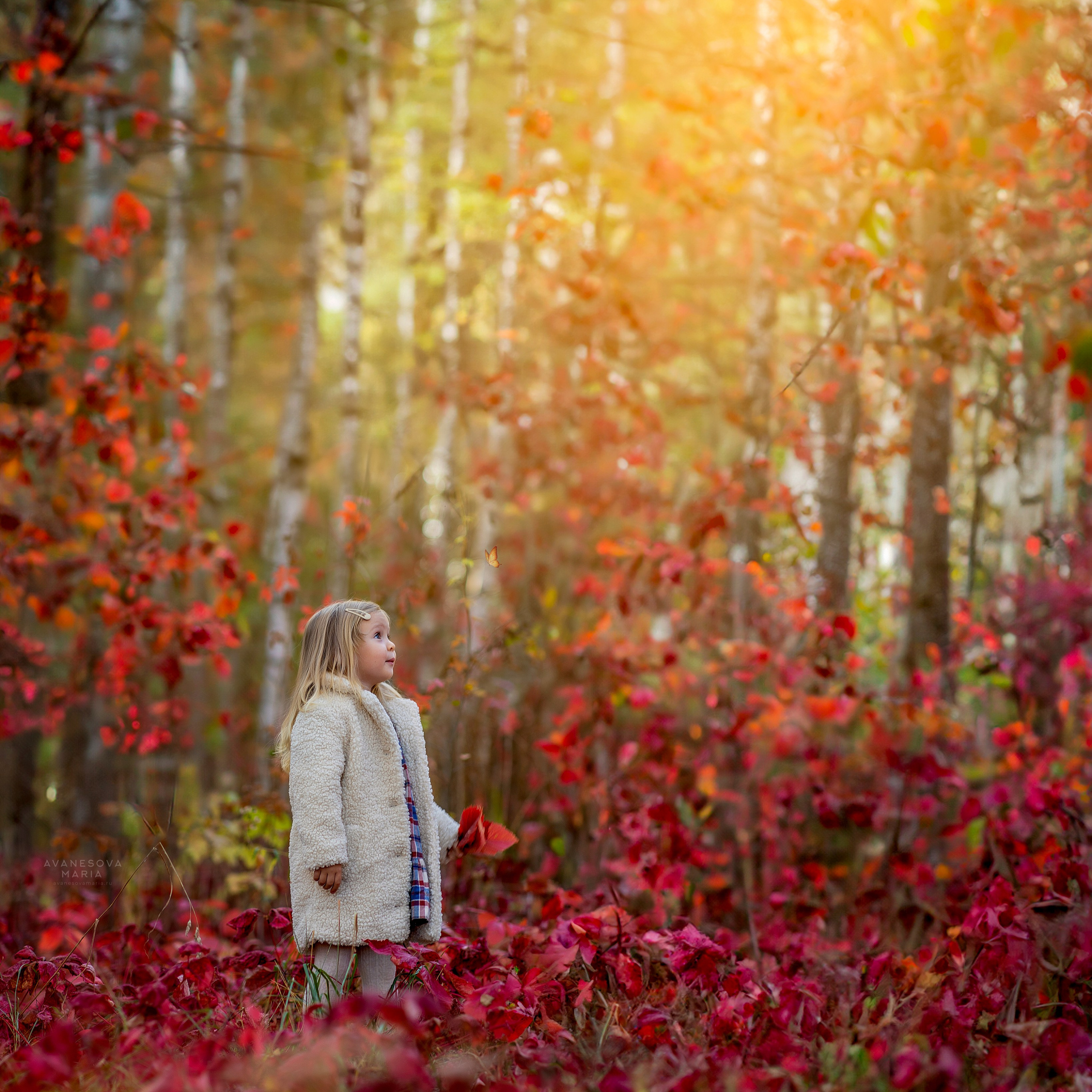 Осенняя съемка в Мытищах, девочка в сказочном лесу