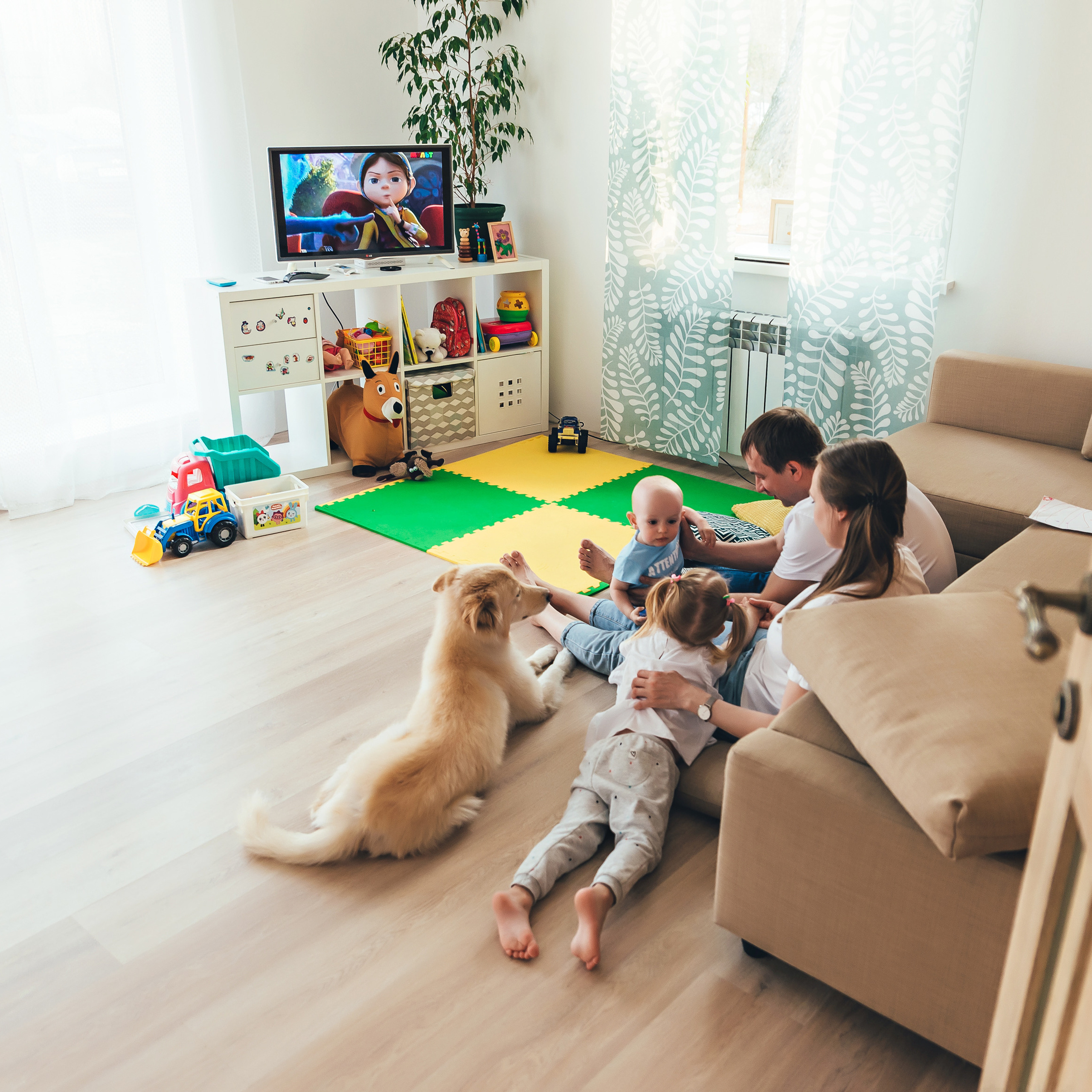 Домашняя история