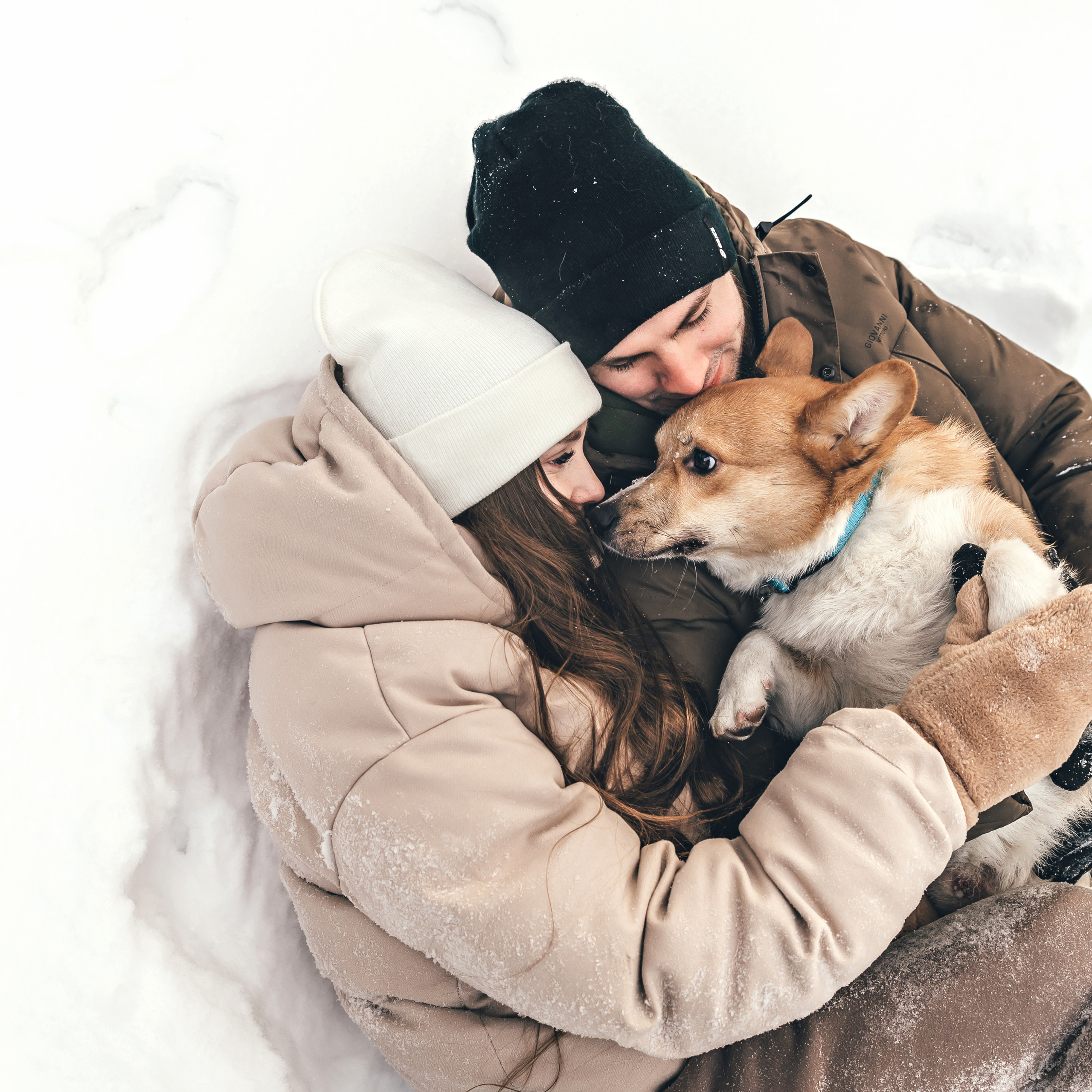 Мокрый нос Арни