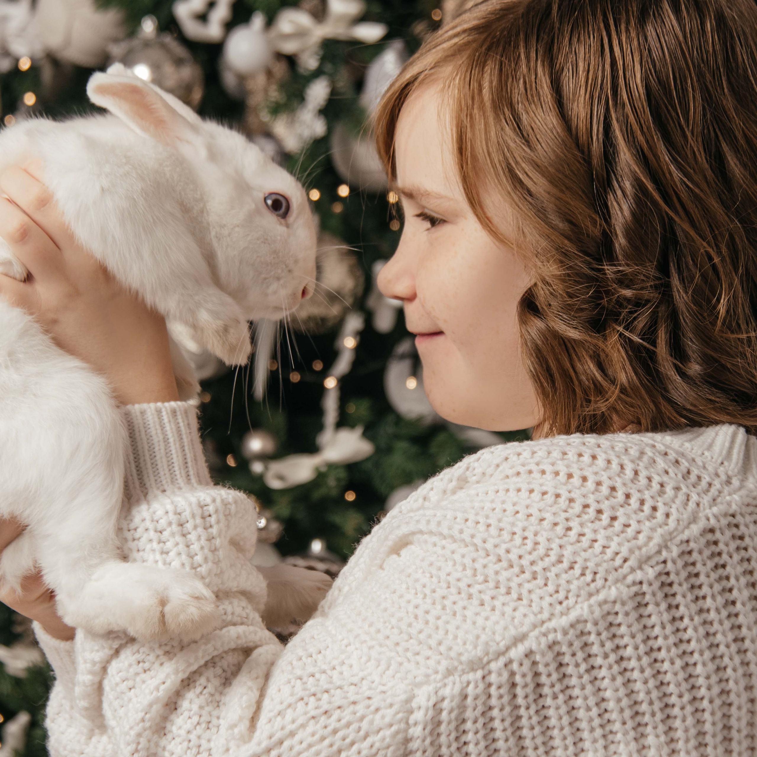 Новый год 2024