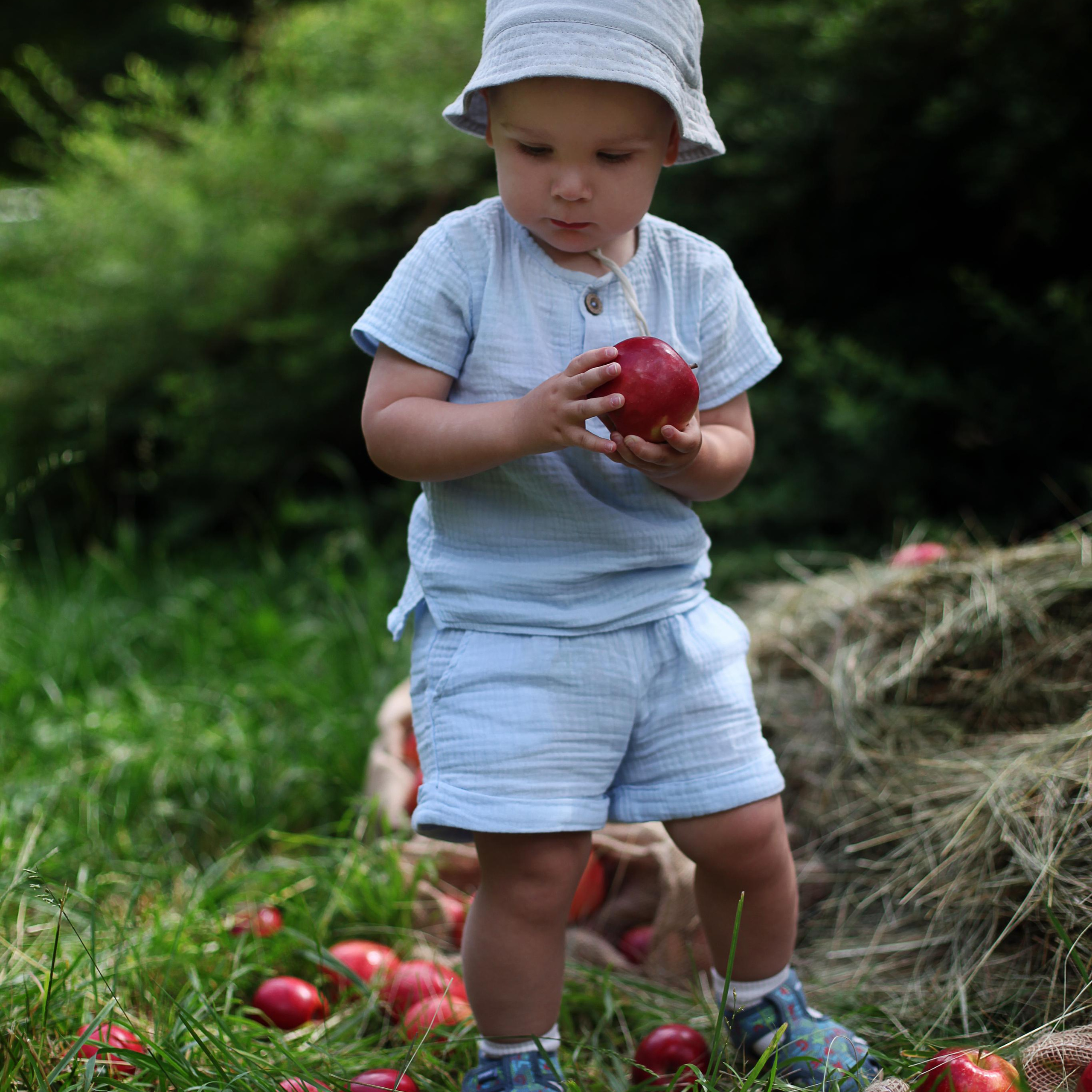 Фотопроект «Яблочки»