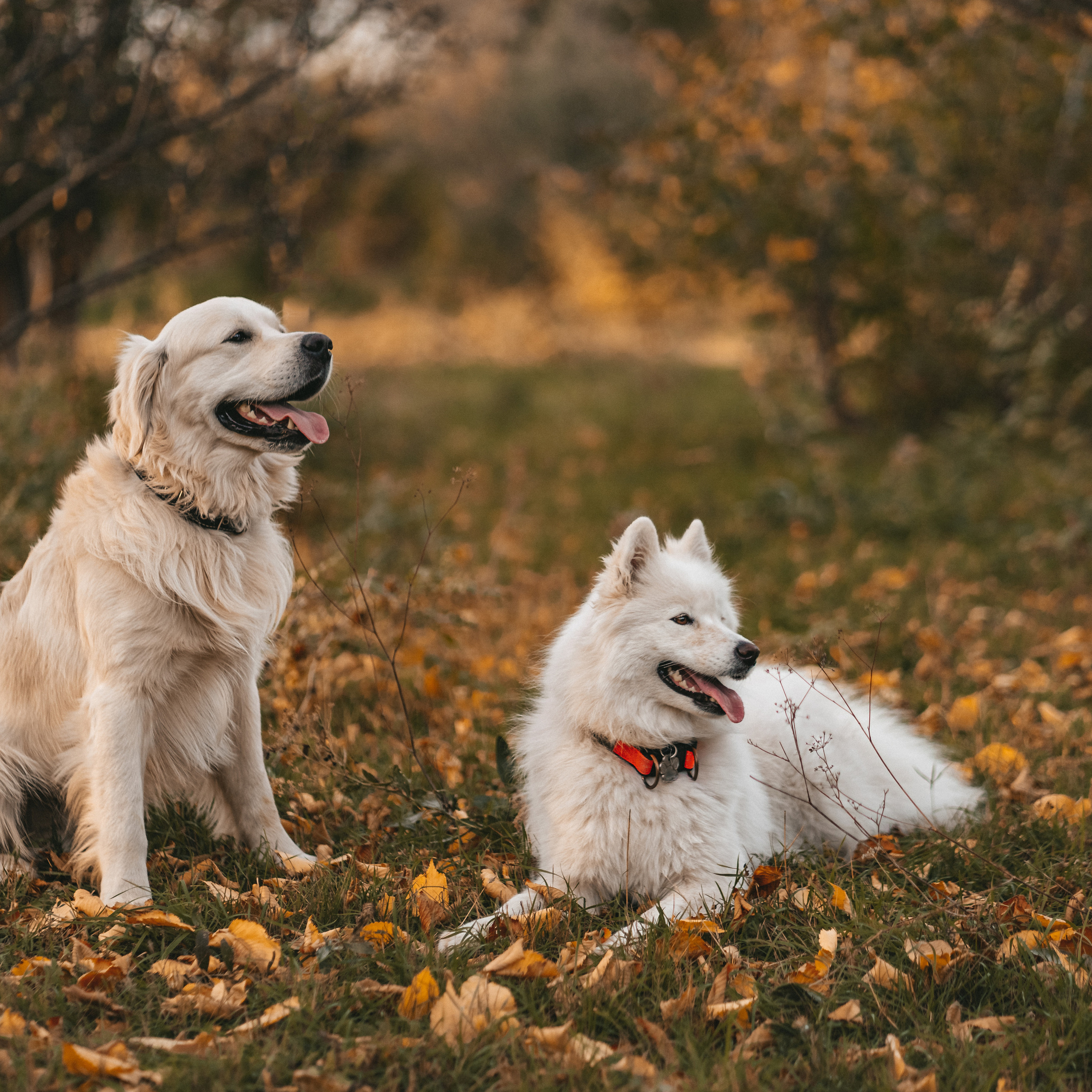 Отзывы. Надежда Виховская — семейный фотограф в Астане
