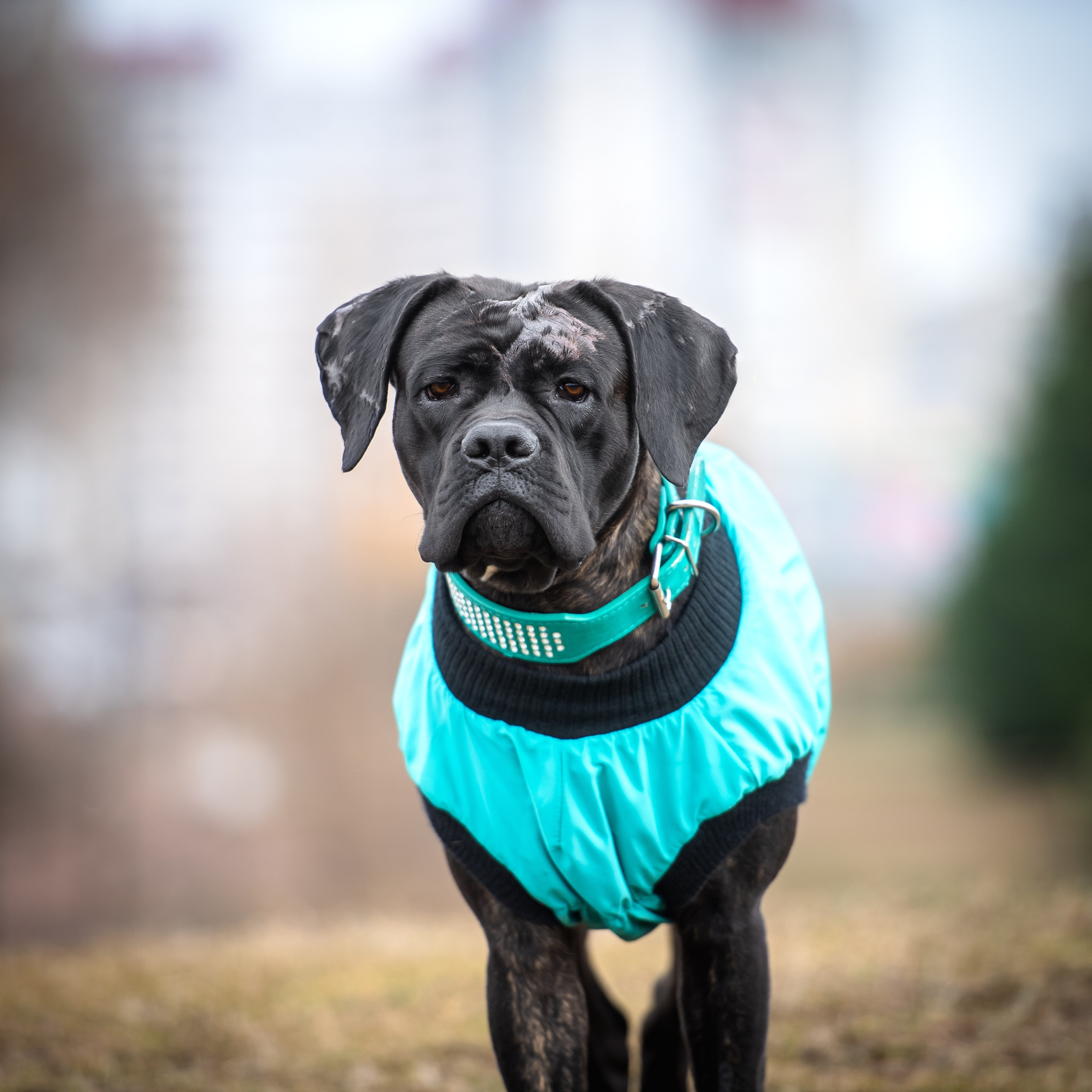 Отзывы. Фотограф в Санкт-Петербурге Вихтинский Николай