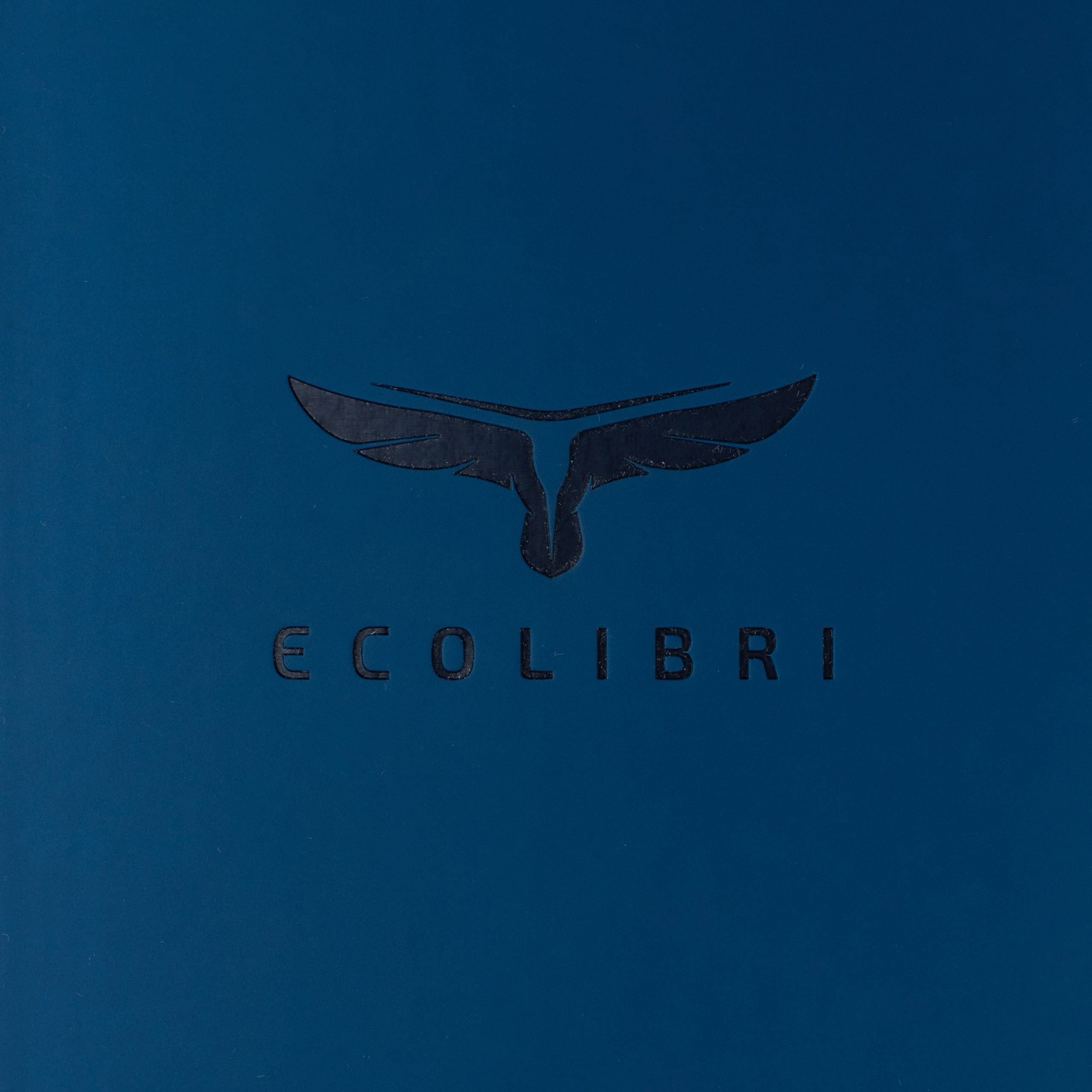 Ecolibri. Михаил Гапеев — Корпоративные подарки и сувенирная продукция с логотипом в Москве