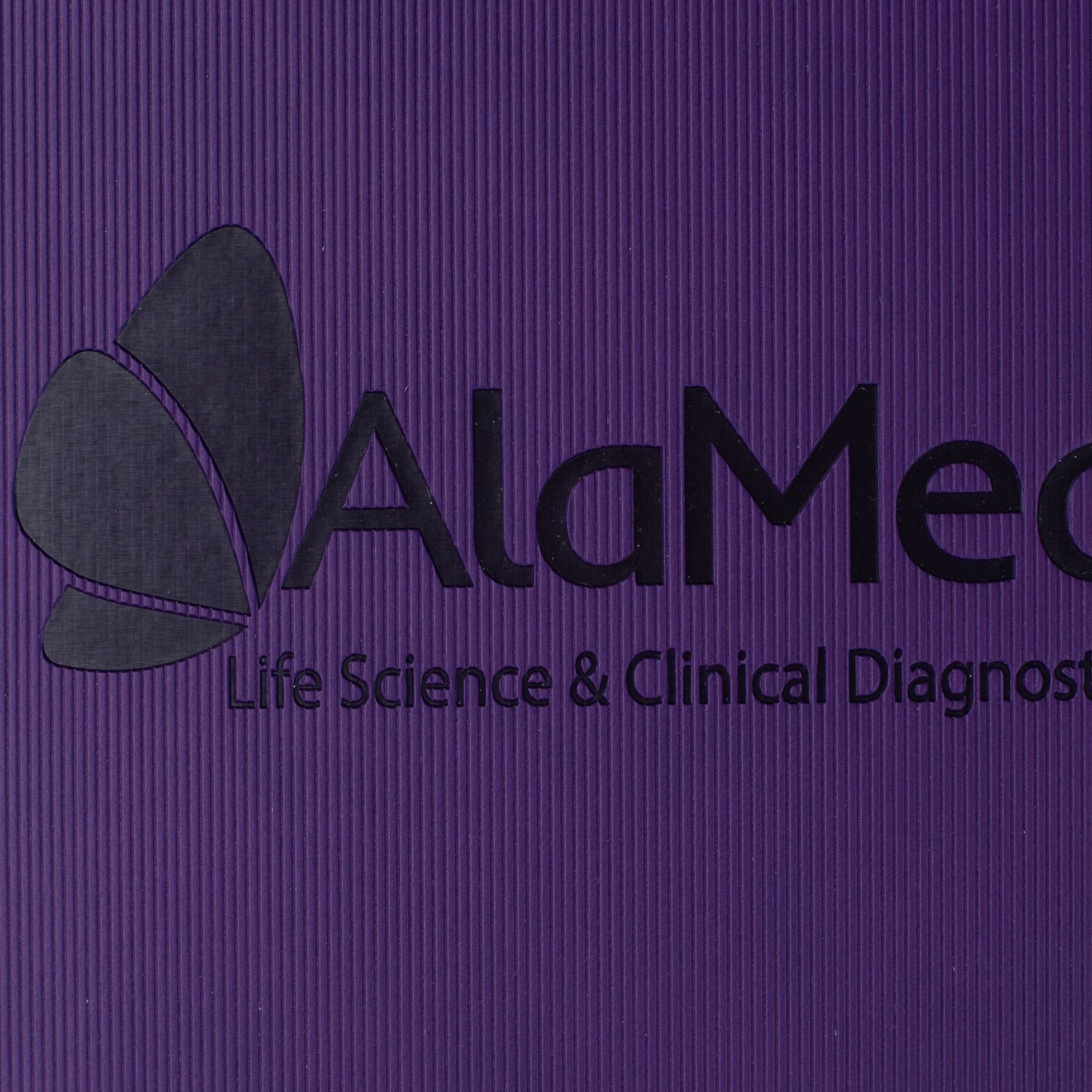 Аламед. Михаил Гапеев — Корпоративные подарки и сувенирная продукция с логотипом в Москве