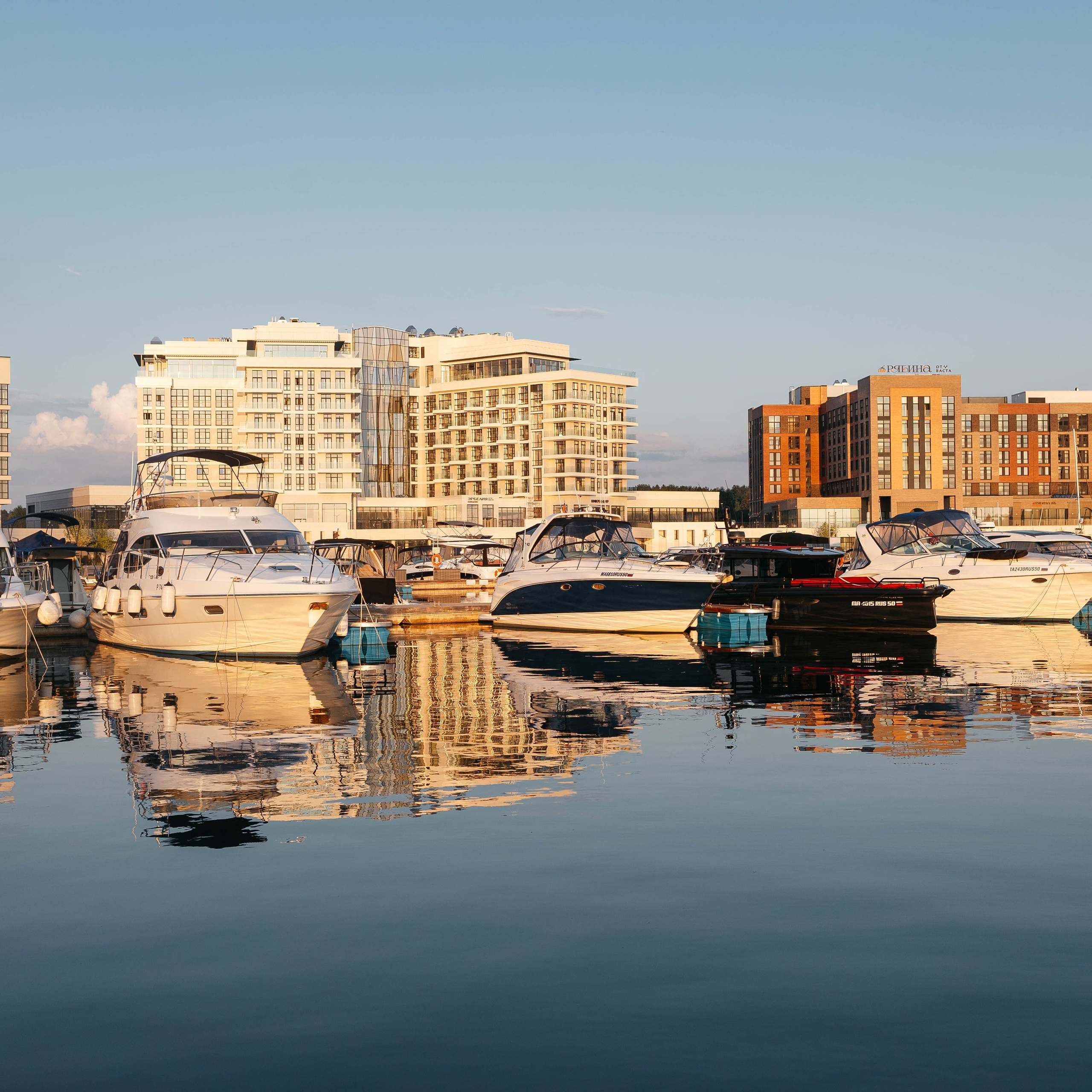 Лиза в Завидово. Закат.