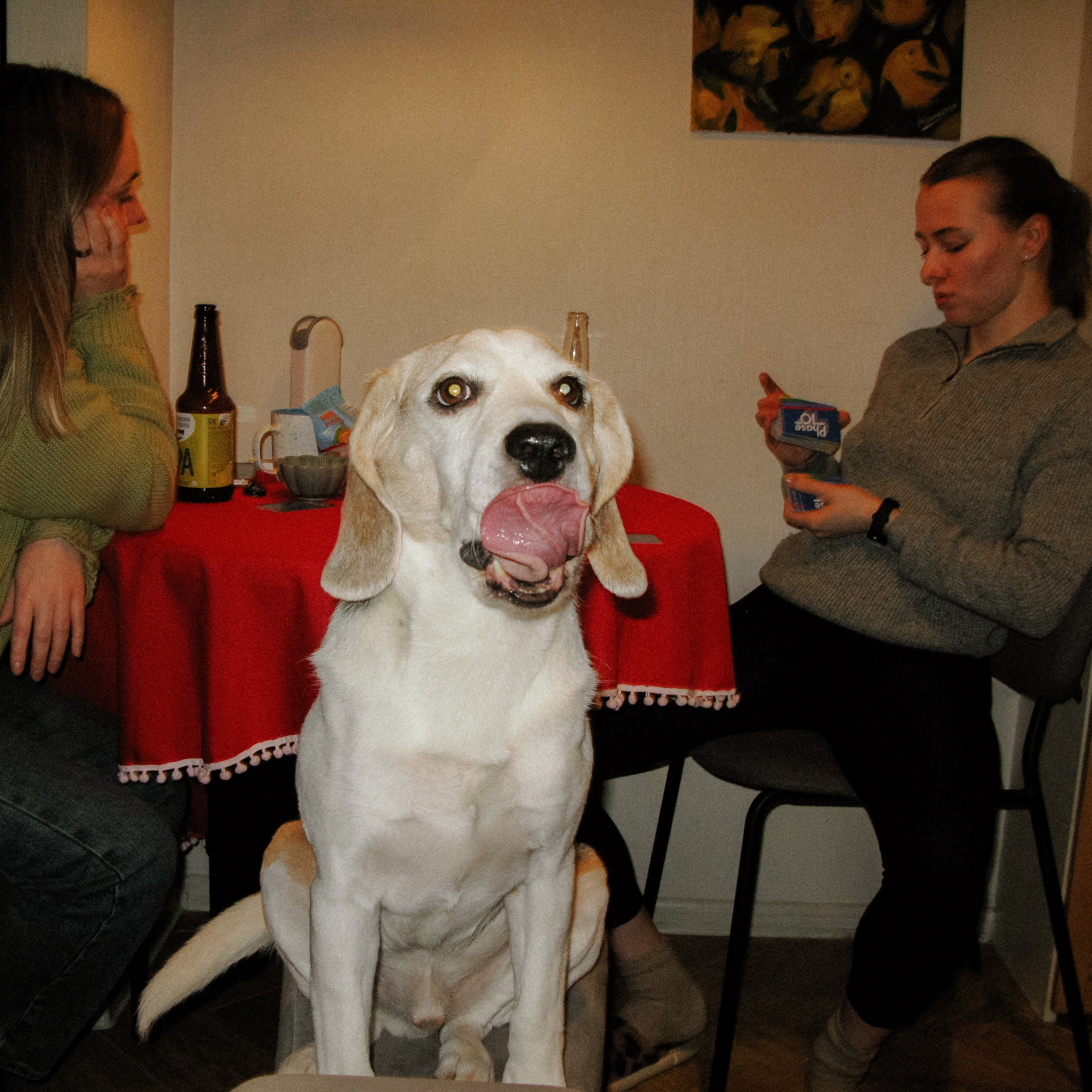 Блог. Фотограф Миланазавр