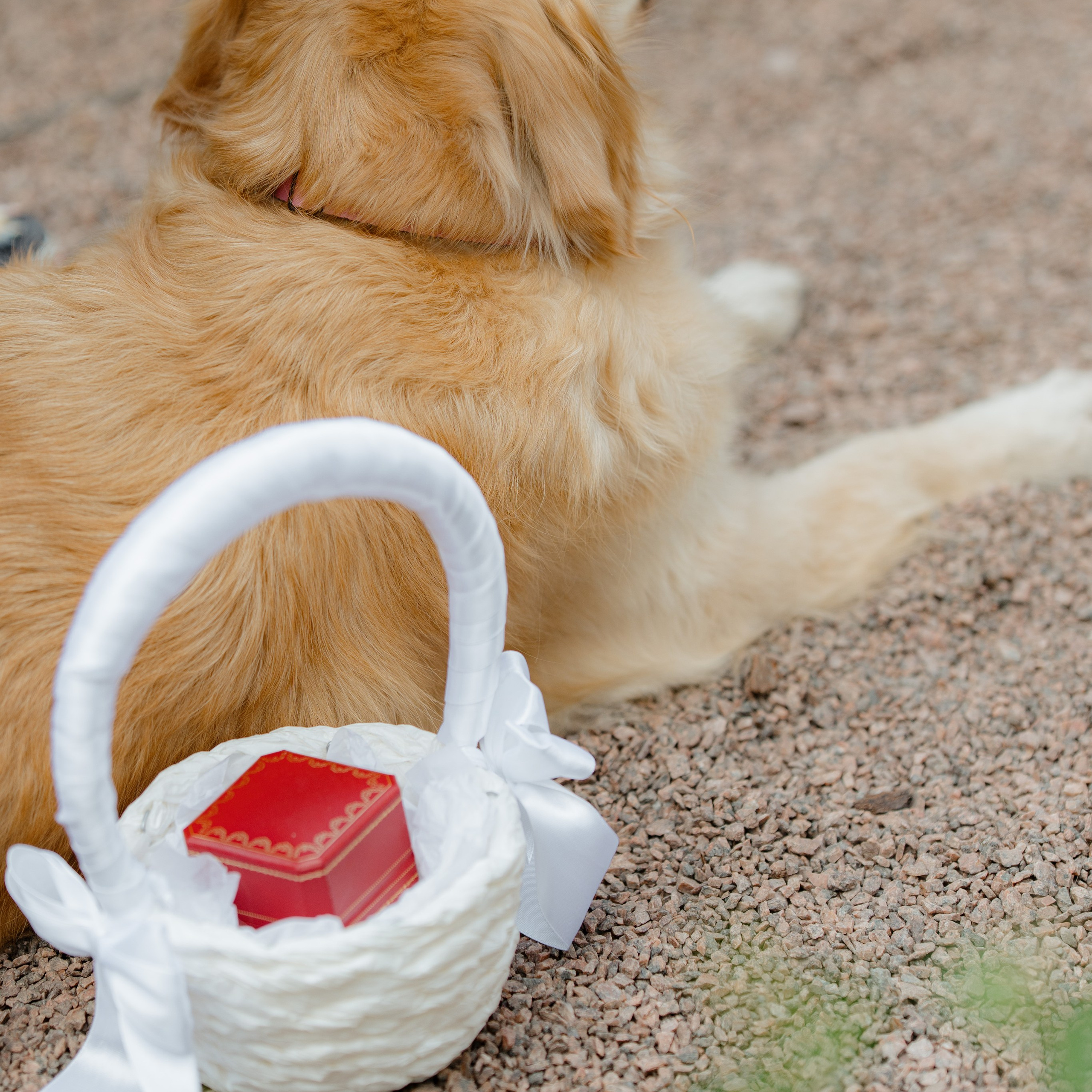 Свадебная съемка во дворце Мясникова. Фотограф Миланазавр