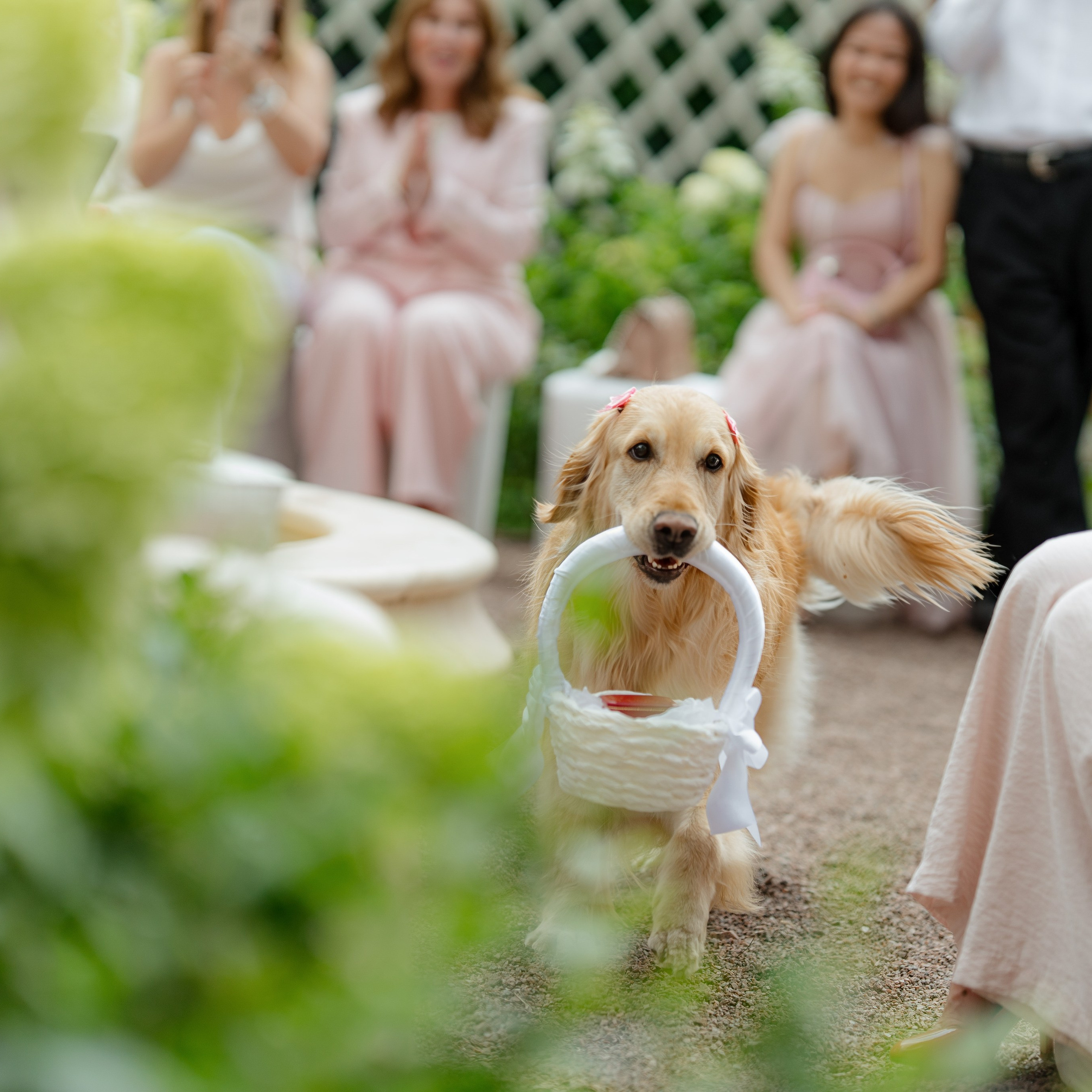 Свадебная съемка во дворце Мясникова. Фотограф Миланазавр