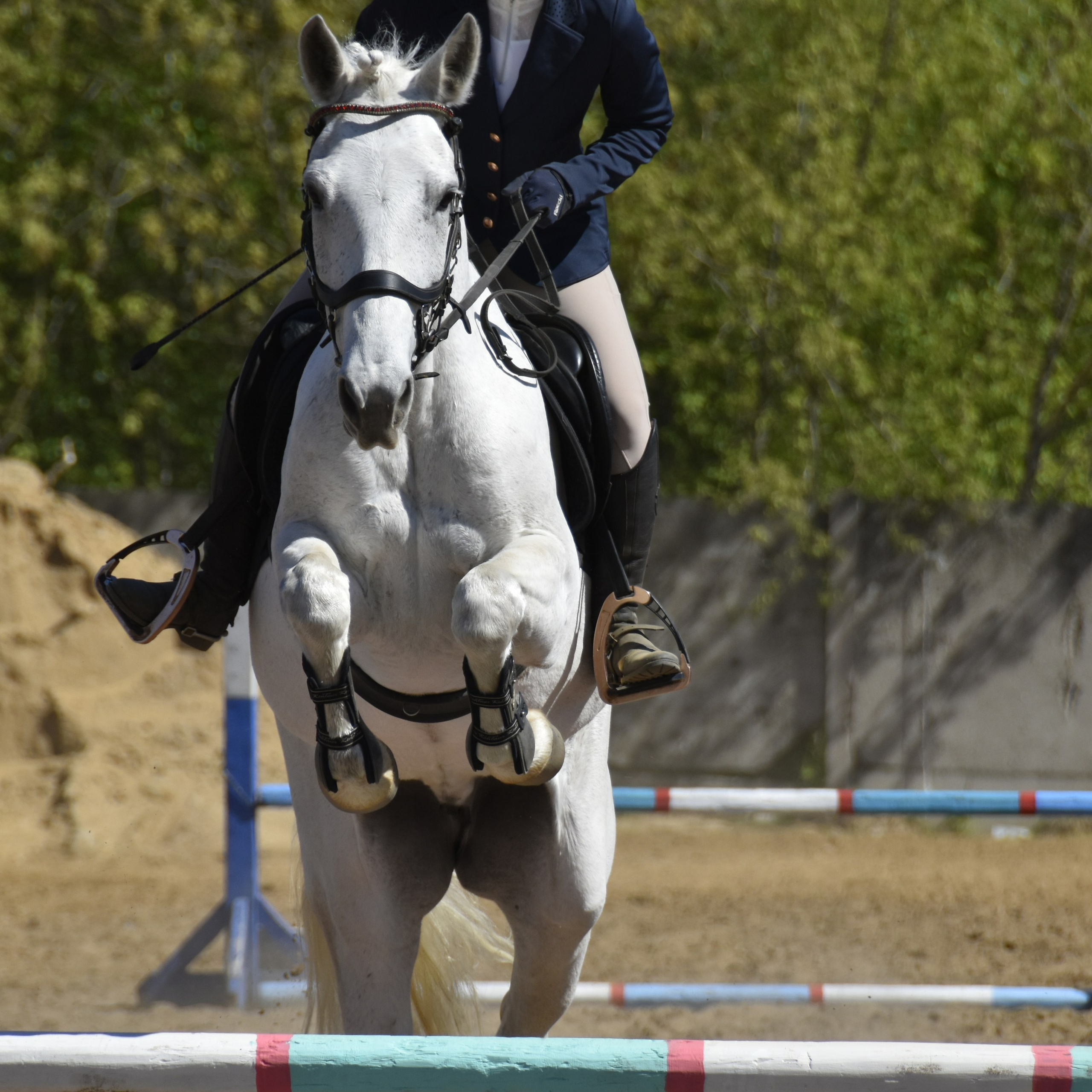 Соревнования по конкуру. КСК «Галактика»