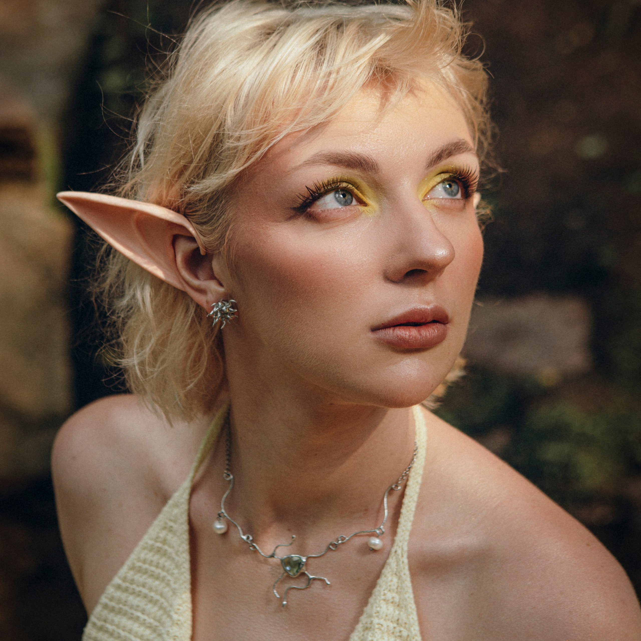 Эльфийская песнь