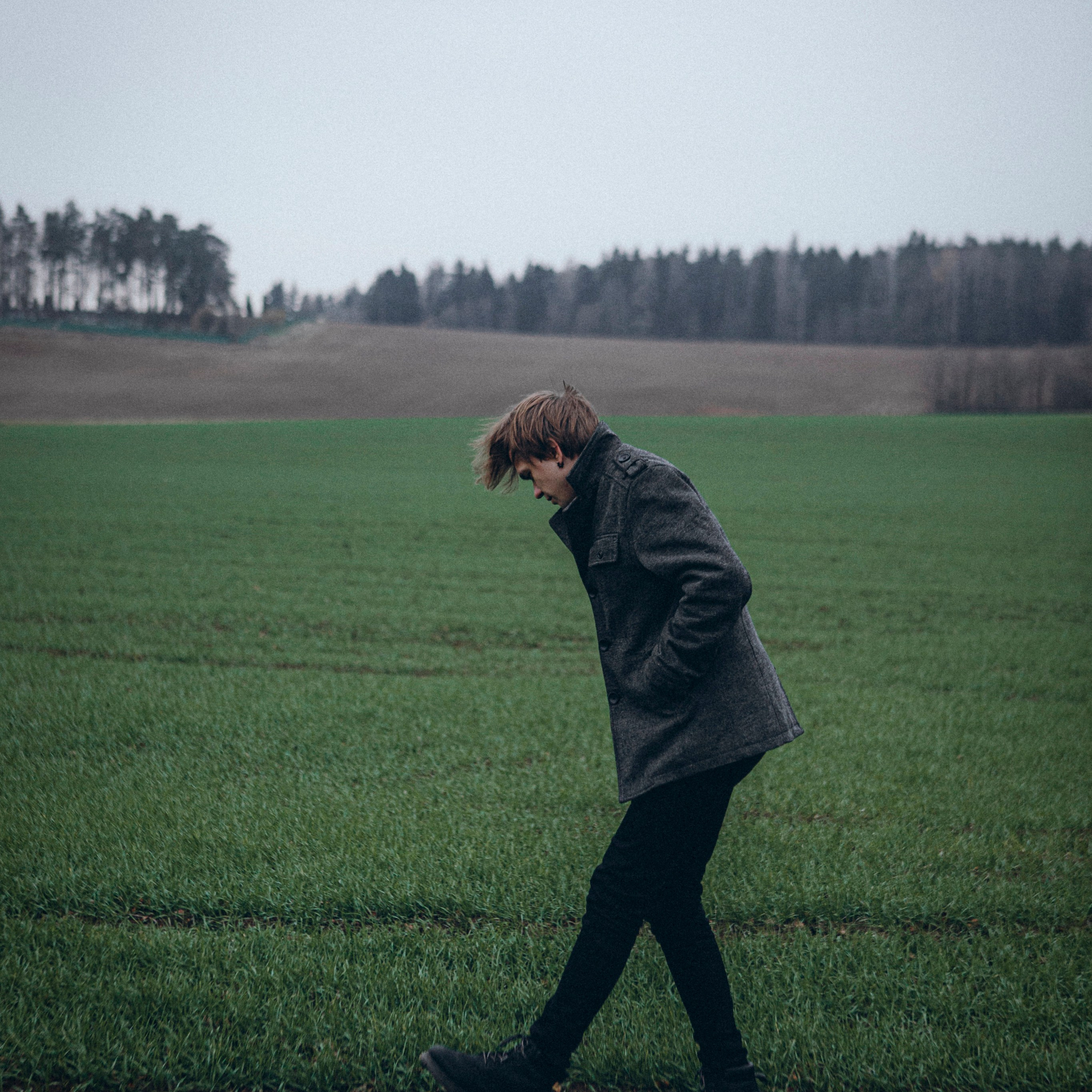 Гордость и предубеждение