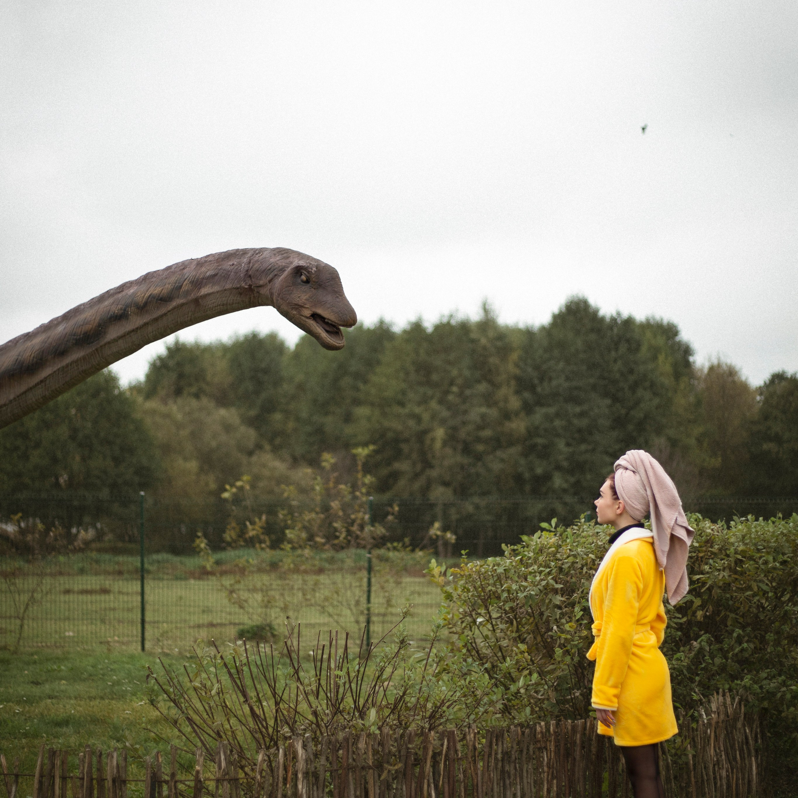 Мой домашний динозавр