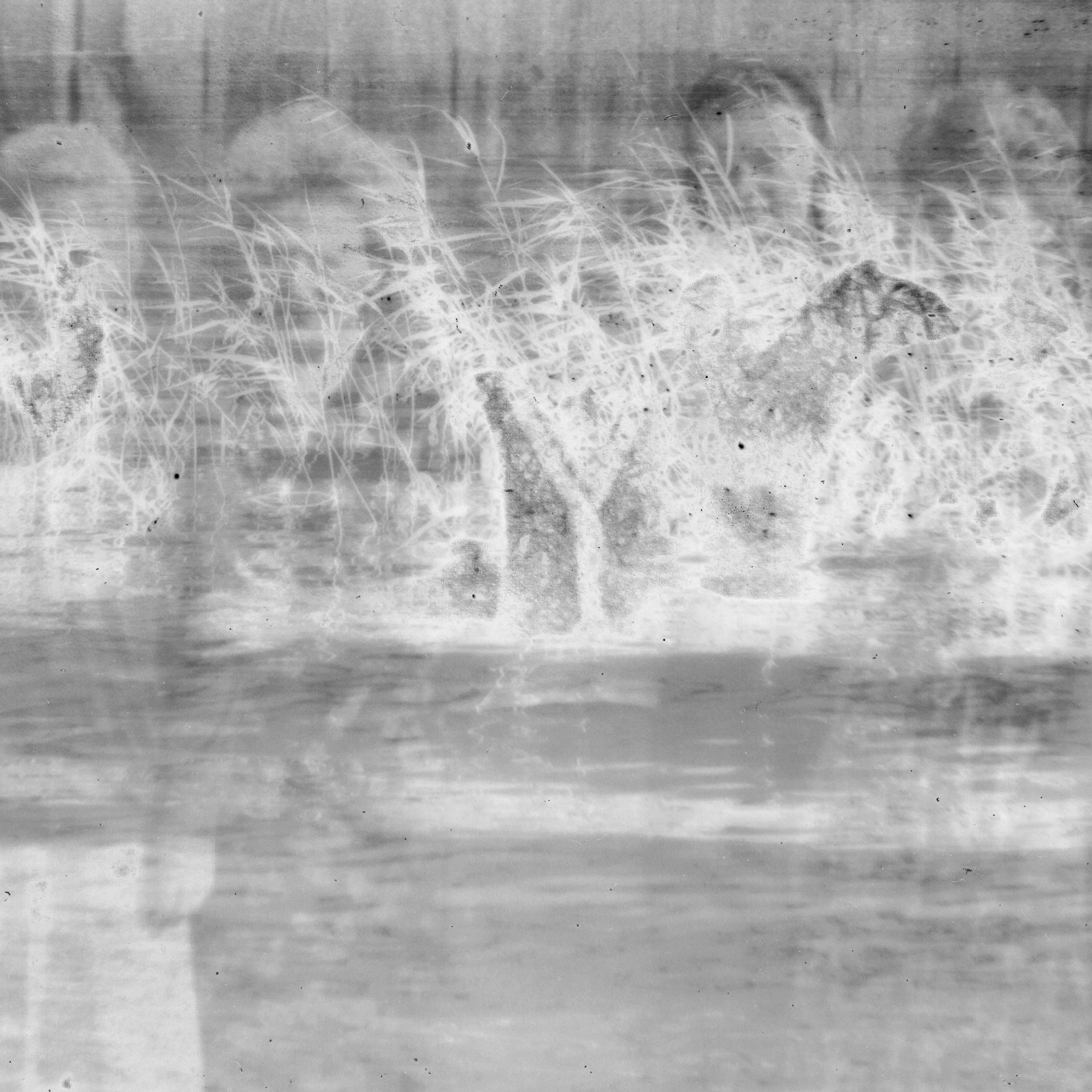 Эхо черемухи (2022 — 2025)