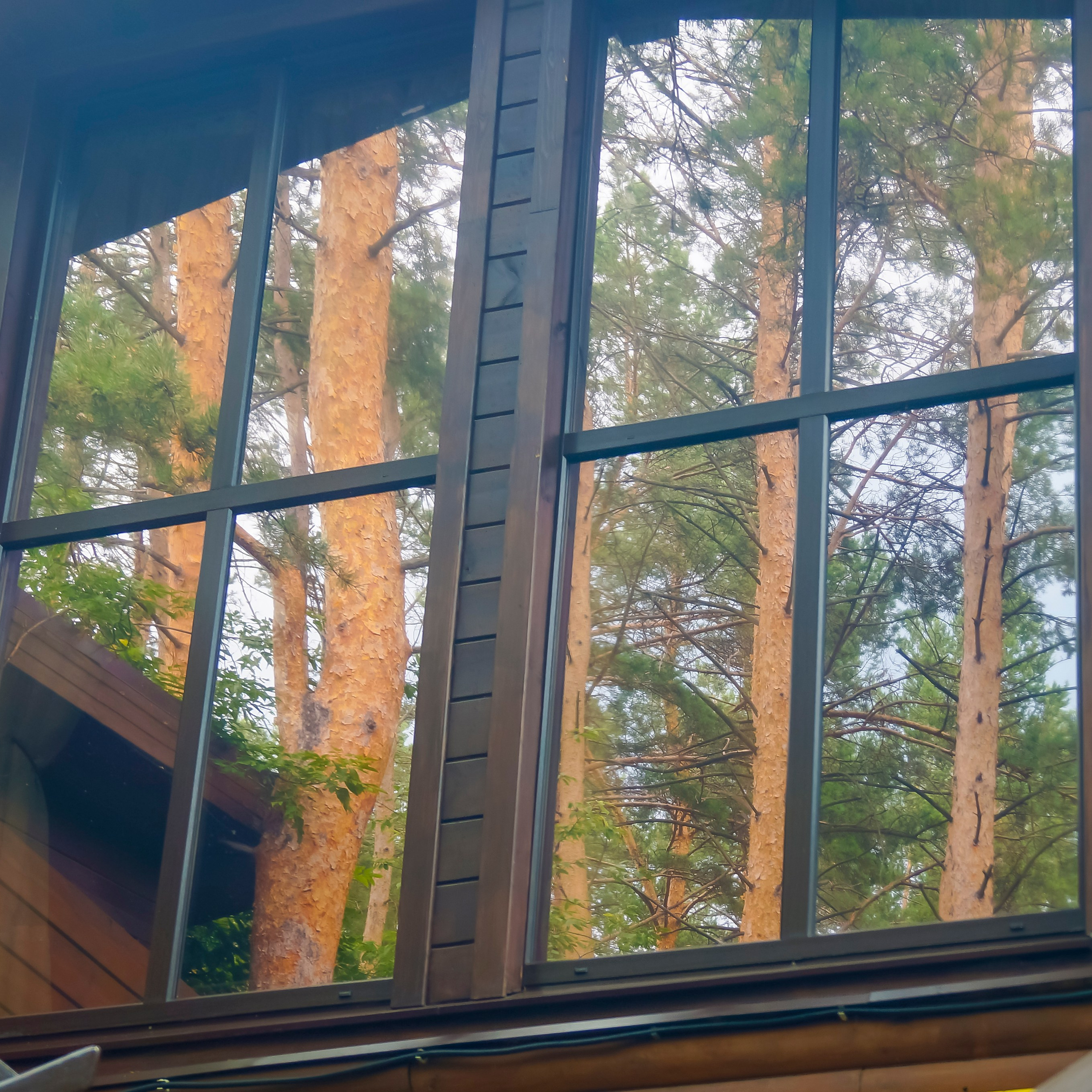 Загородный клуб «Лесная Поляна»