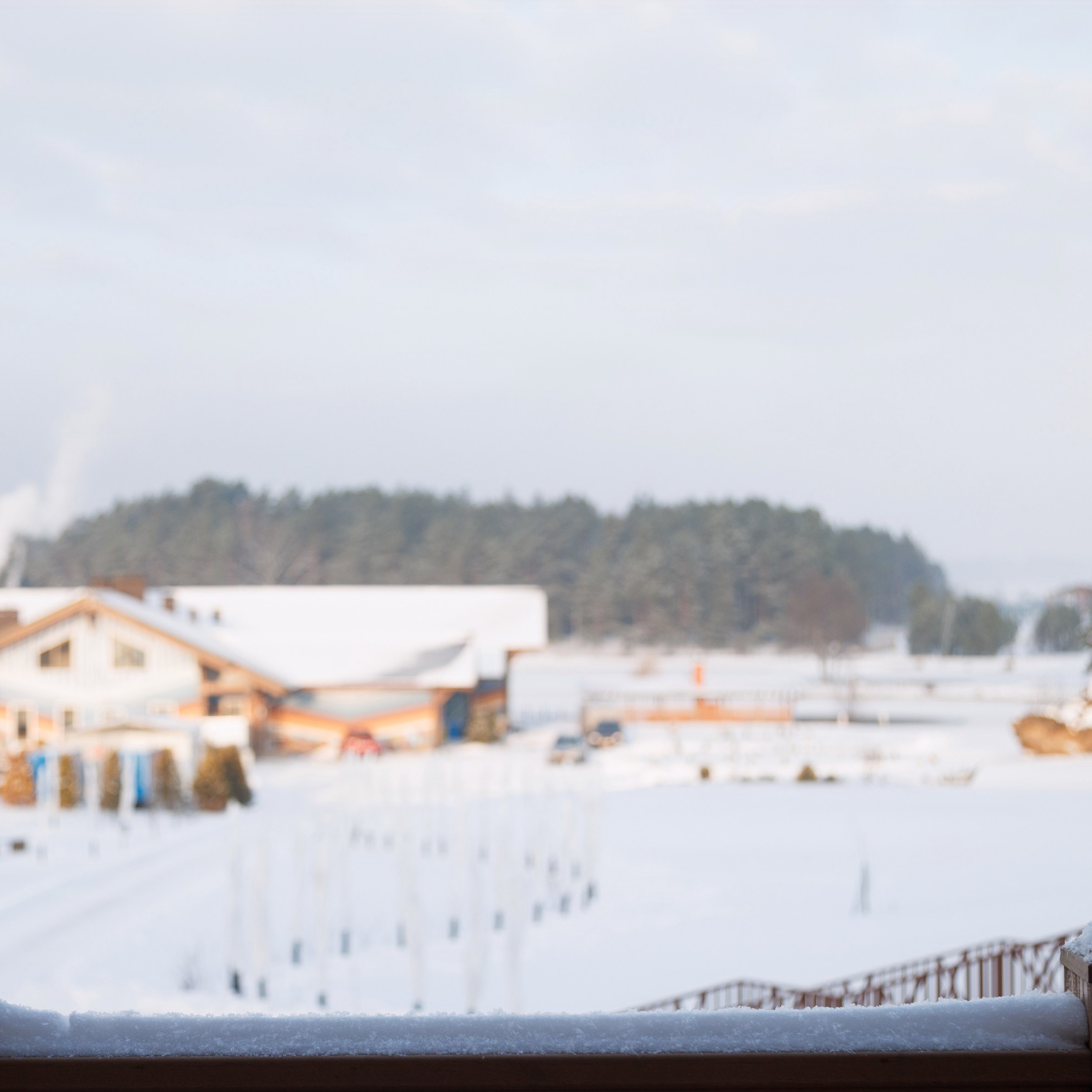 Отзывы. Репортажный фотограф Александр Задорин, Минск, Беларусь
