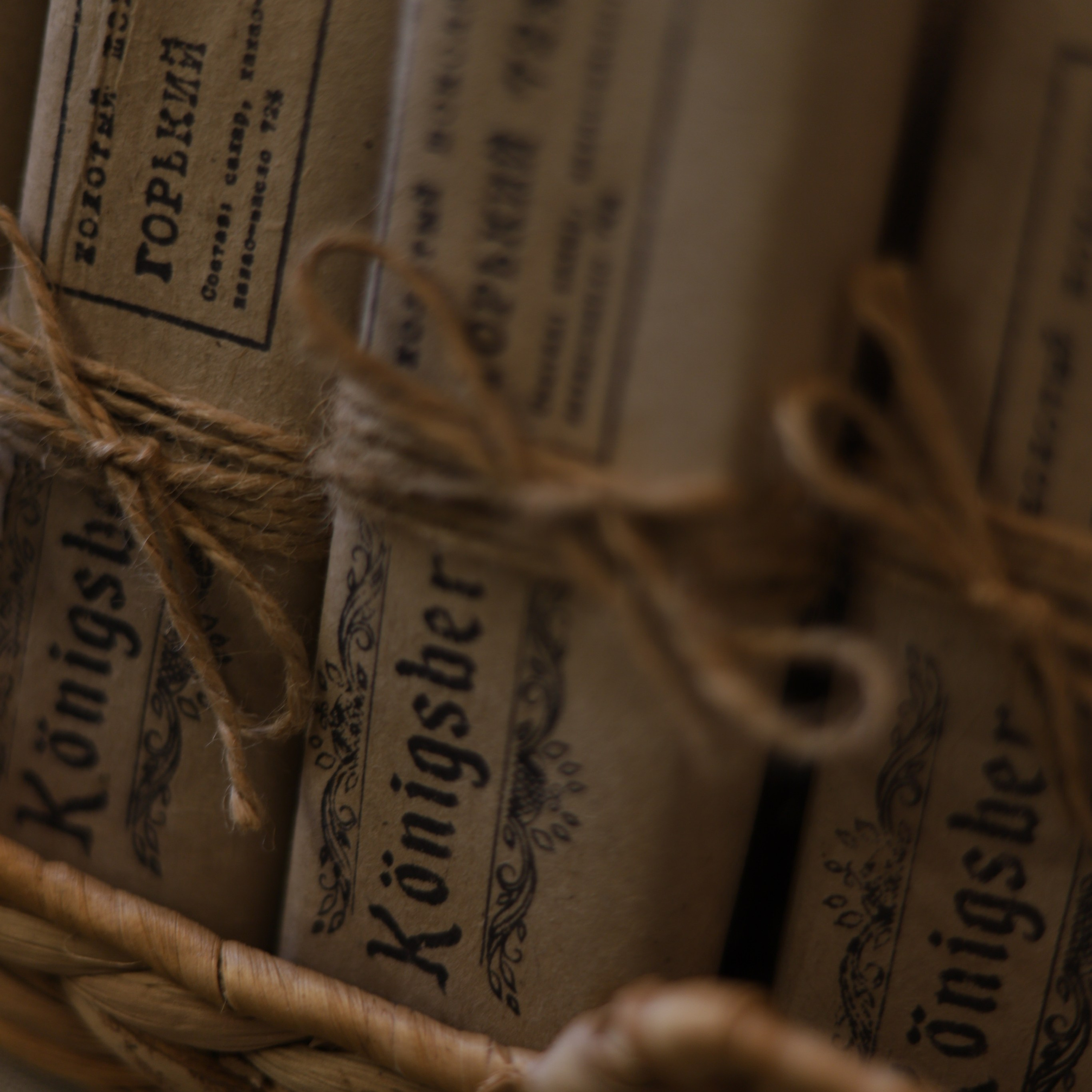 Фотограф в Москве | Синицына Тамара