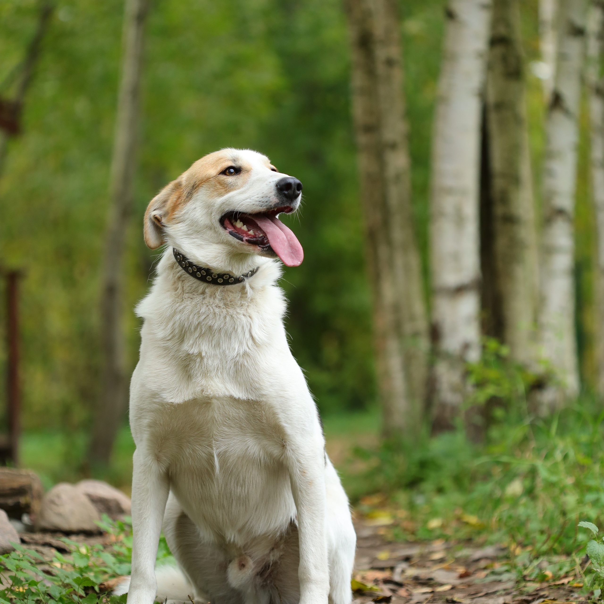 FEEDBACK. NUTA ART wedding and art photographer