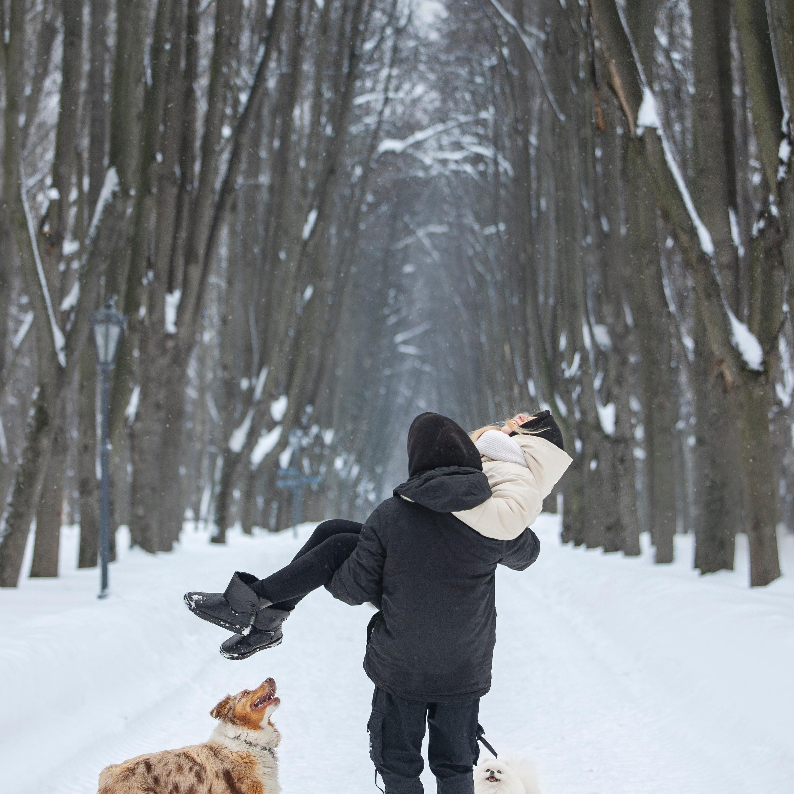 Отзывы о фотографе анималисте. Фотограф анималист в Москве Майорова Евгения
