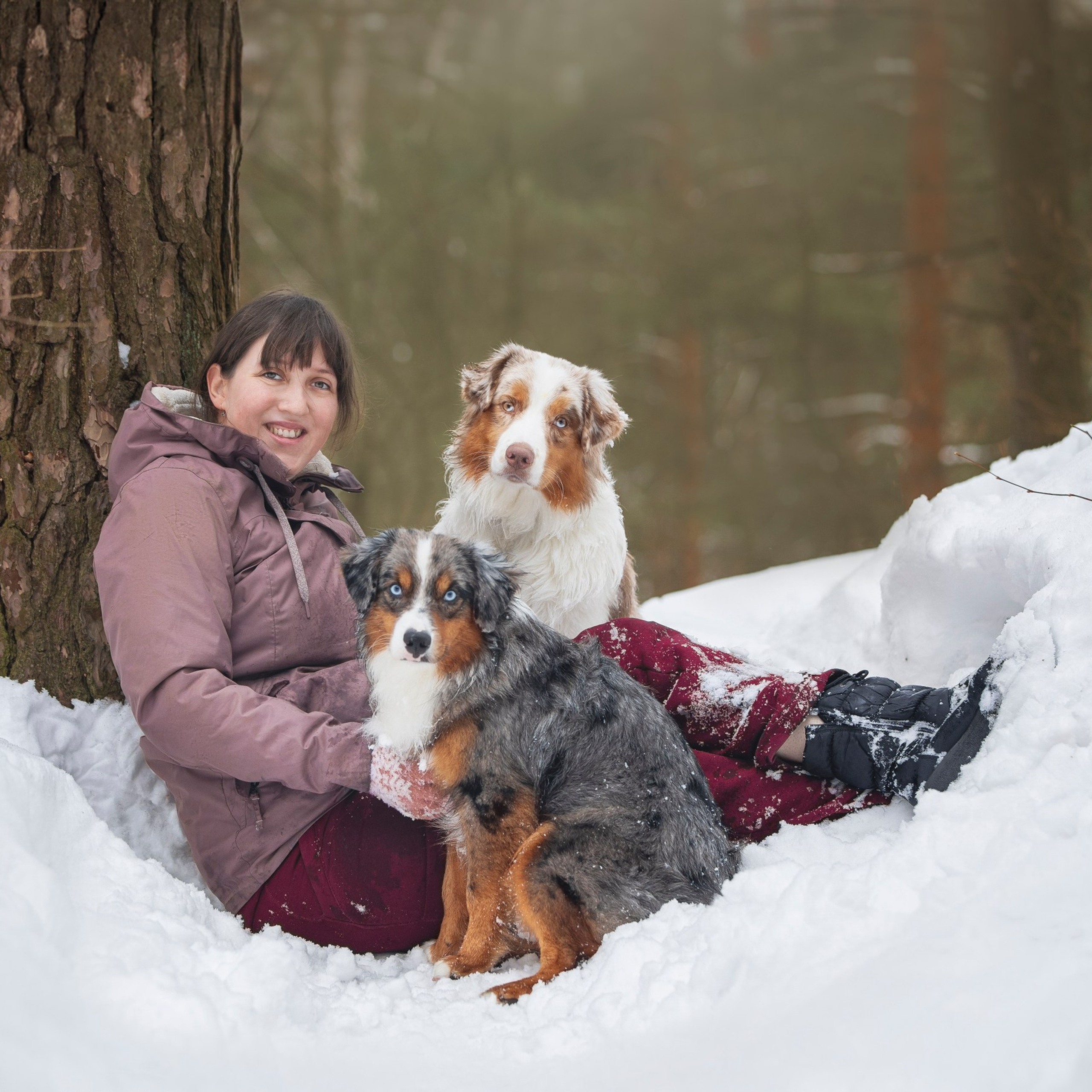 Отзывы о фотографе анималисте. Фотограф анималист в Москве Майорова Евгения