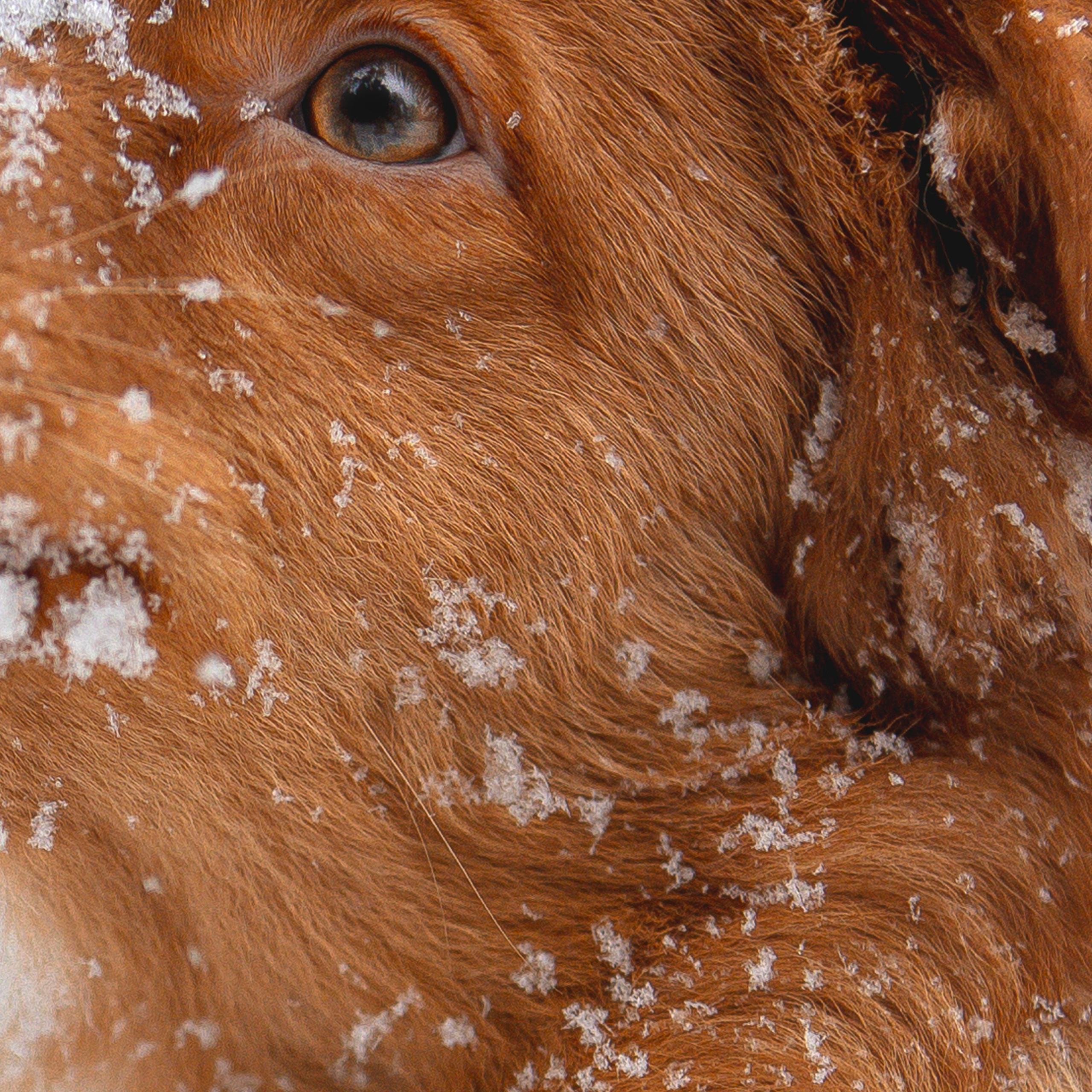 Руби, Николь, Кирилл и Мила