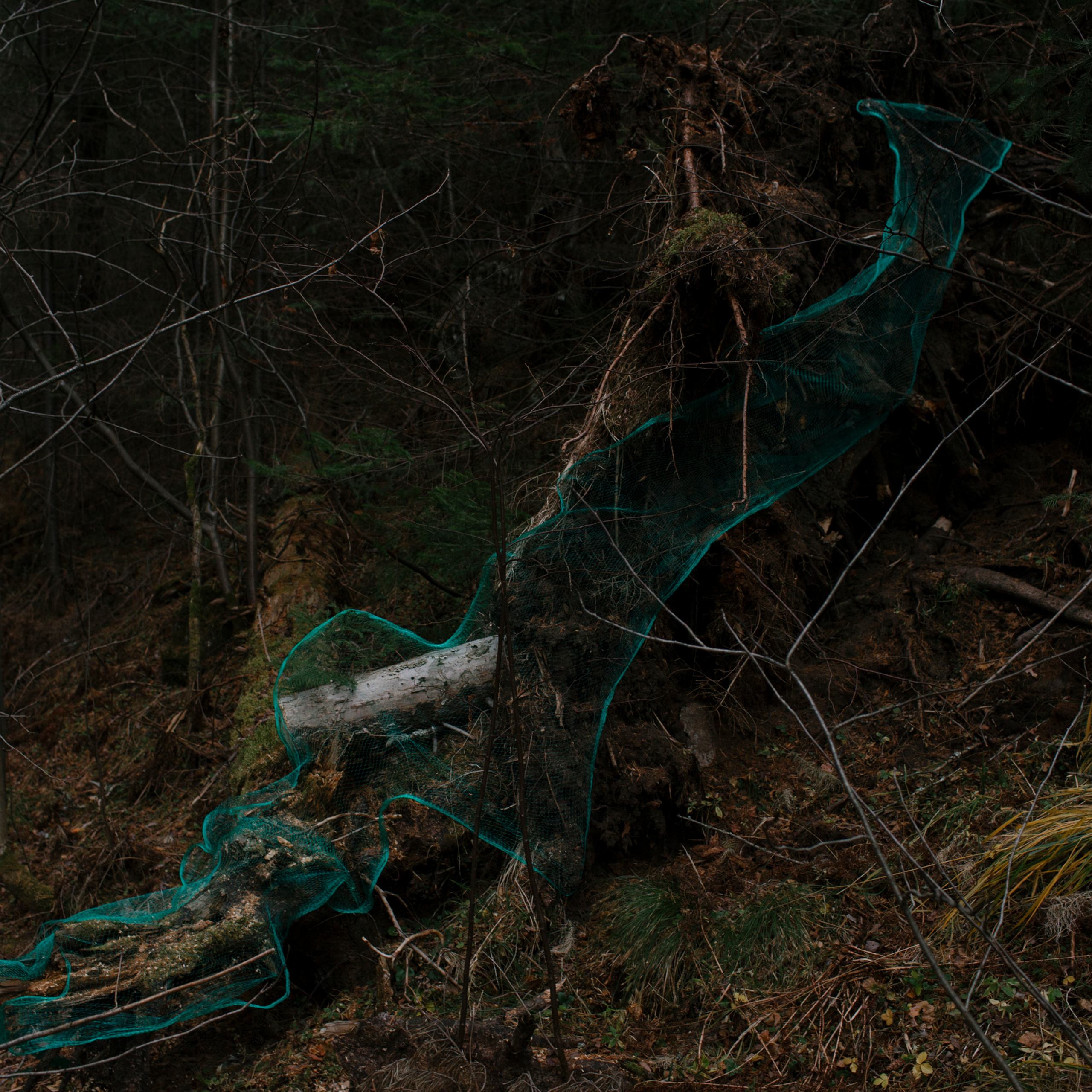 ПОМЕХА В ПЕЙЗАЖЕ