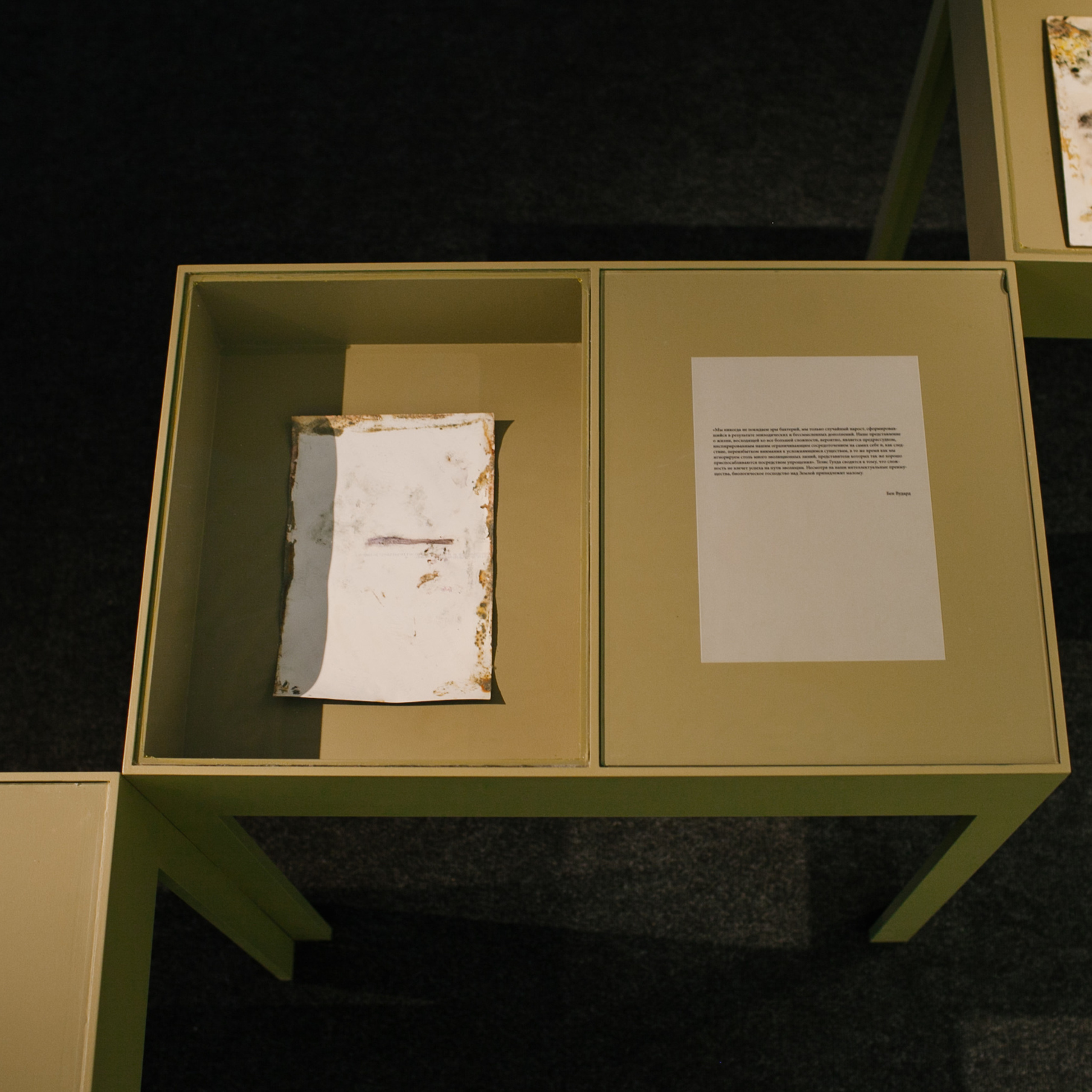 ТОНКИЕ СТРУКТУРЫ. Фотограф Аня Марченкова