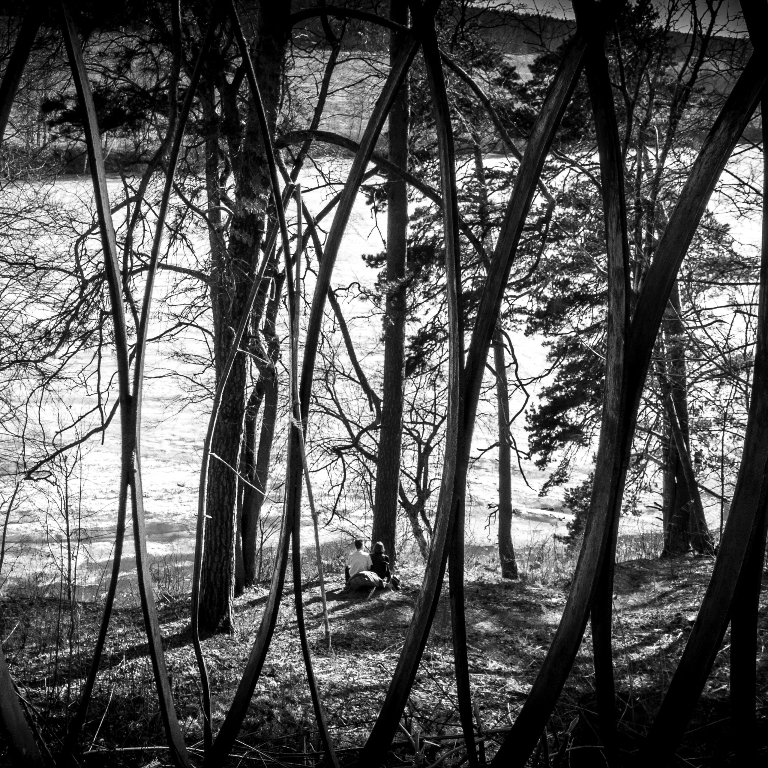 Архангельское