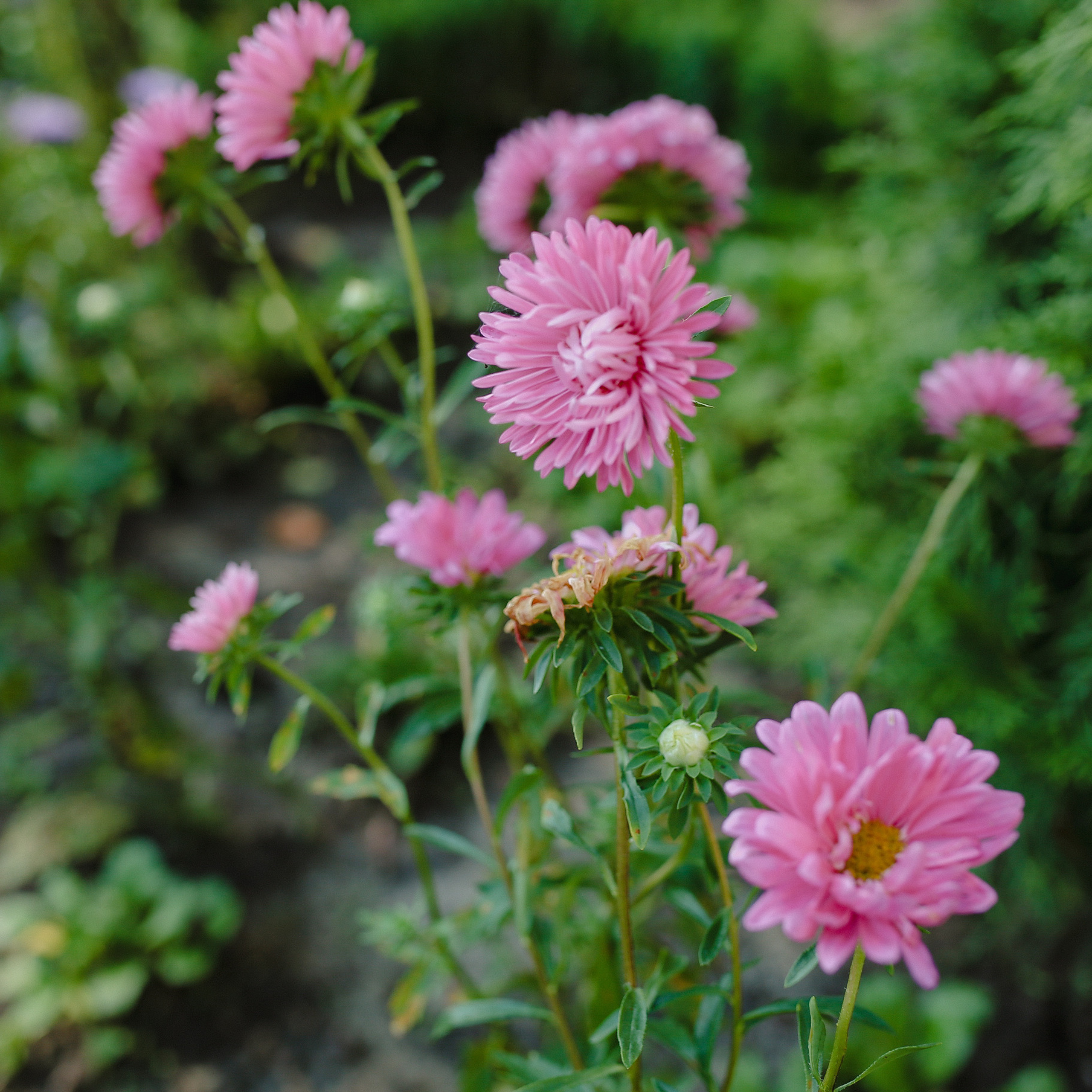 Отзывы. Евгения Мартынова фотограф в Курске и Орле