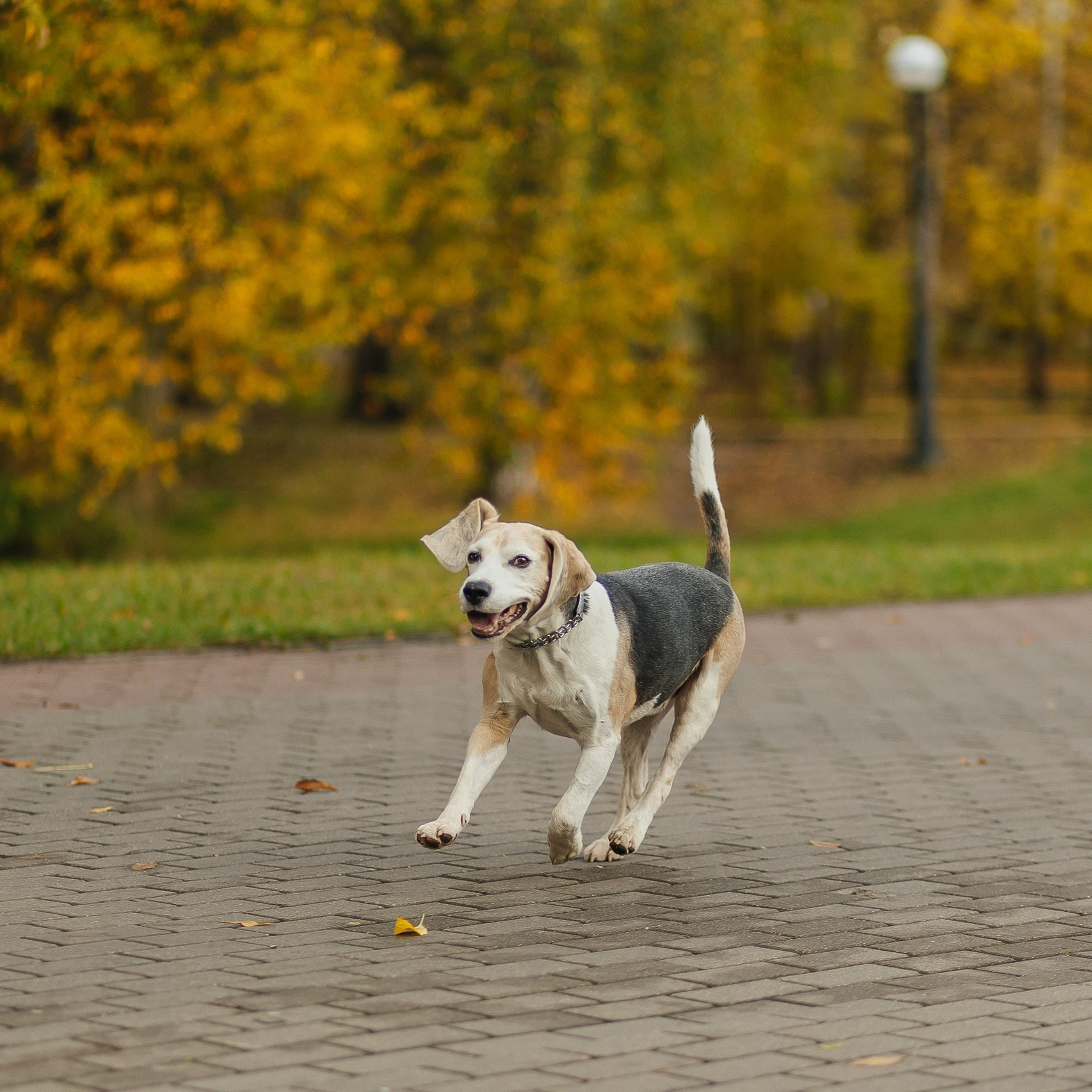 Отзывы. Фотограф Москва, Балашиха, МО. Свадьбы, репортажи, контент, портреты