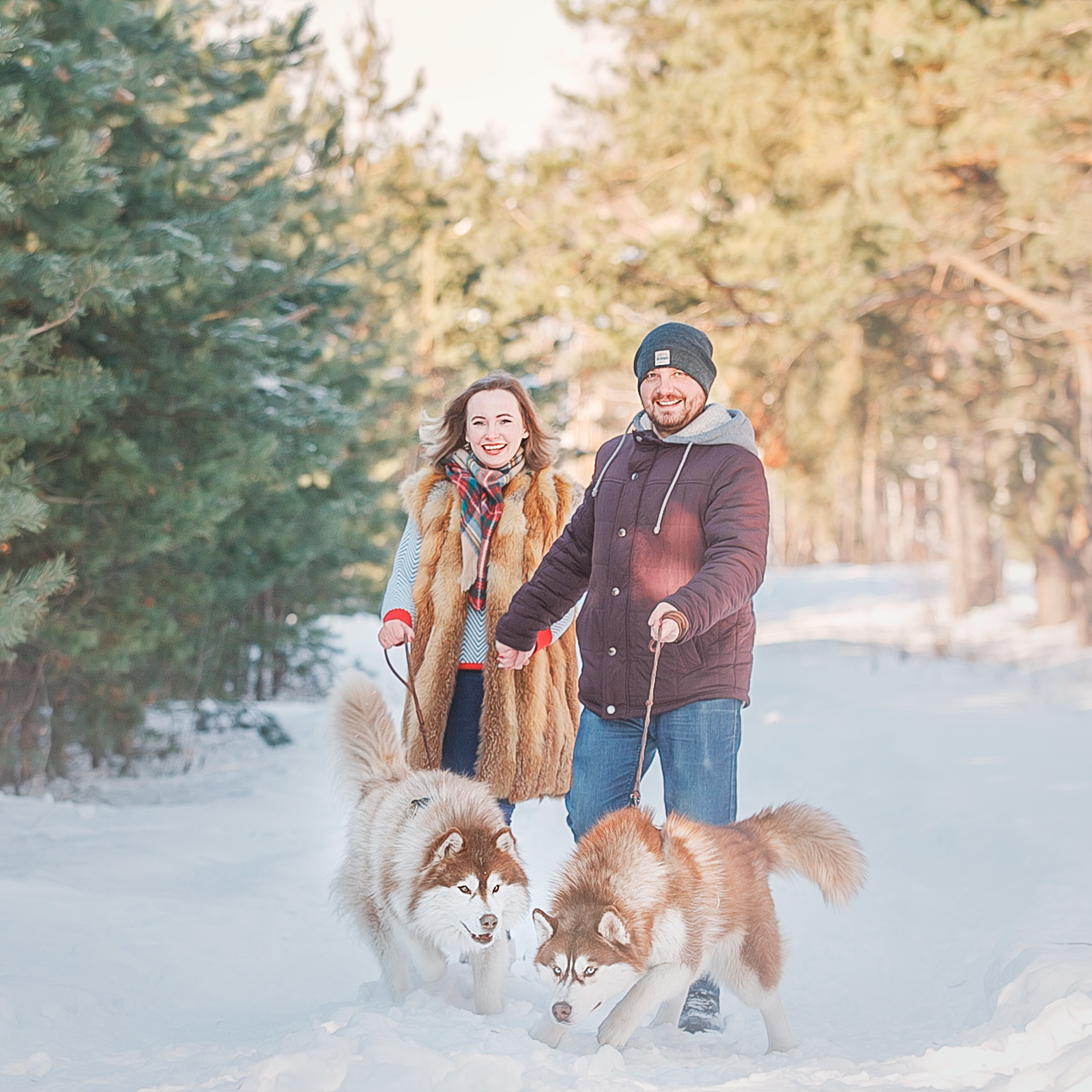 Фотопроект "В компании с хаски"