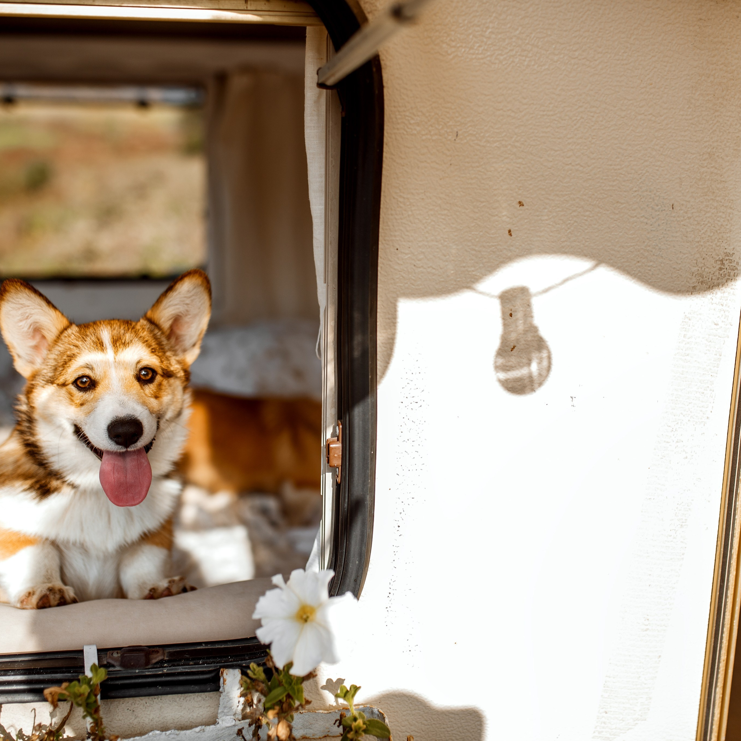 Отзывы. Детский фотограф и фотограф новорожденных в Воронеже Наташа Алехина