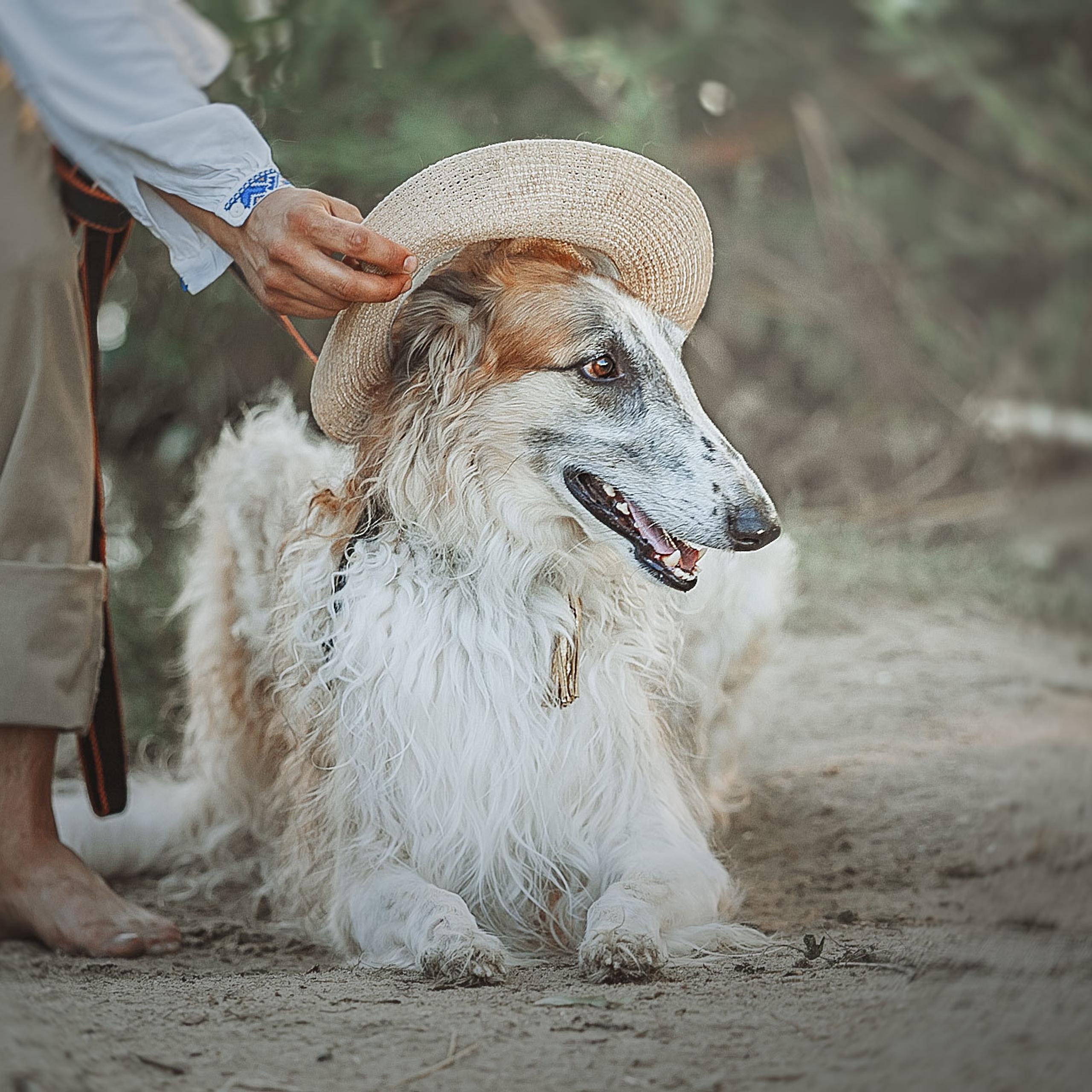 Ивановы на Ивана Купала