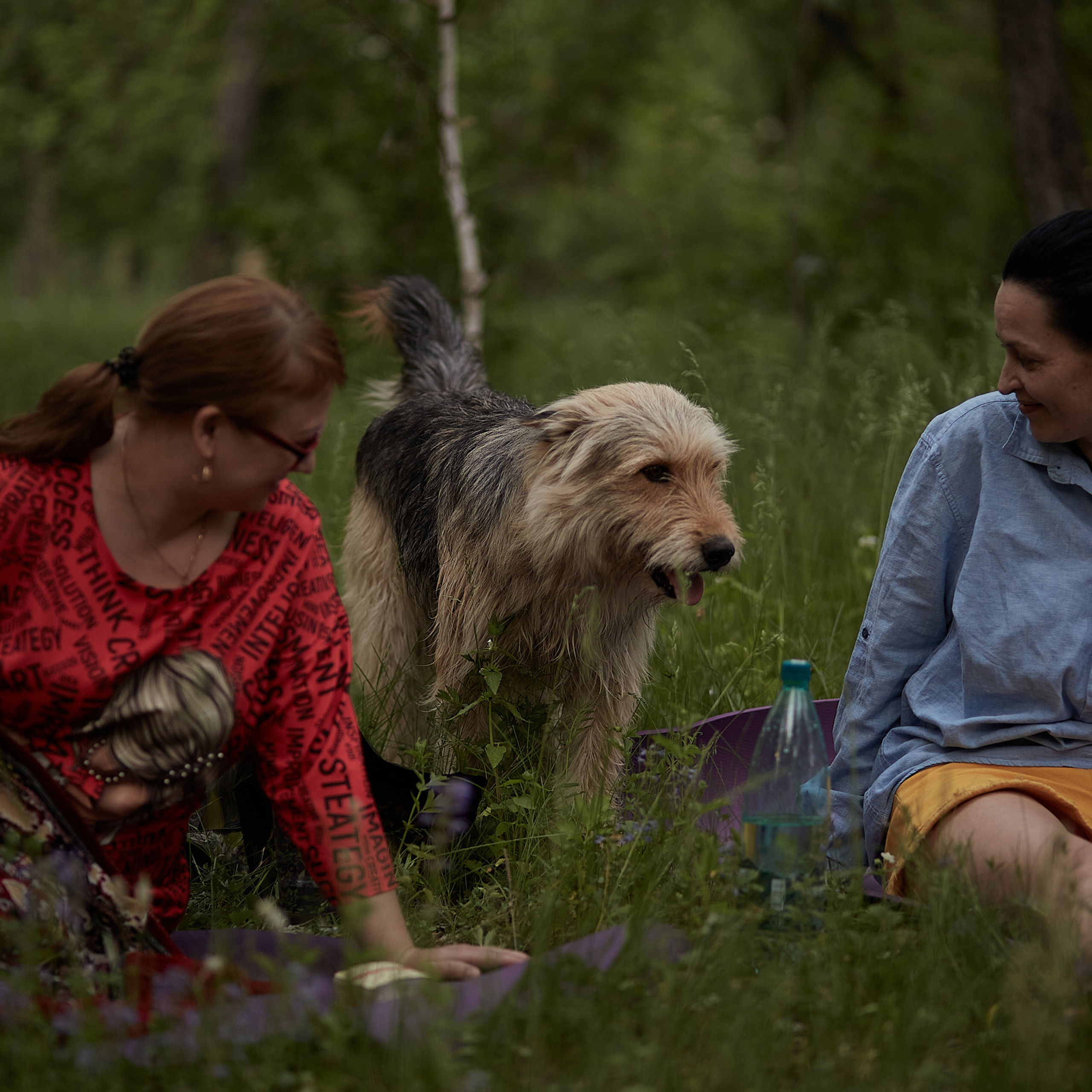 Отзывы. Контент фотограф Мясникова Наталья Абакан/Минусинск