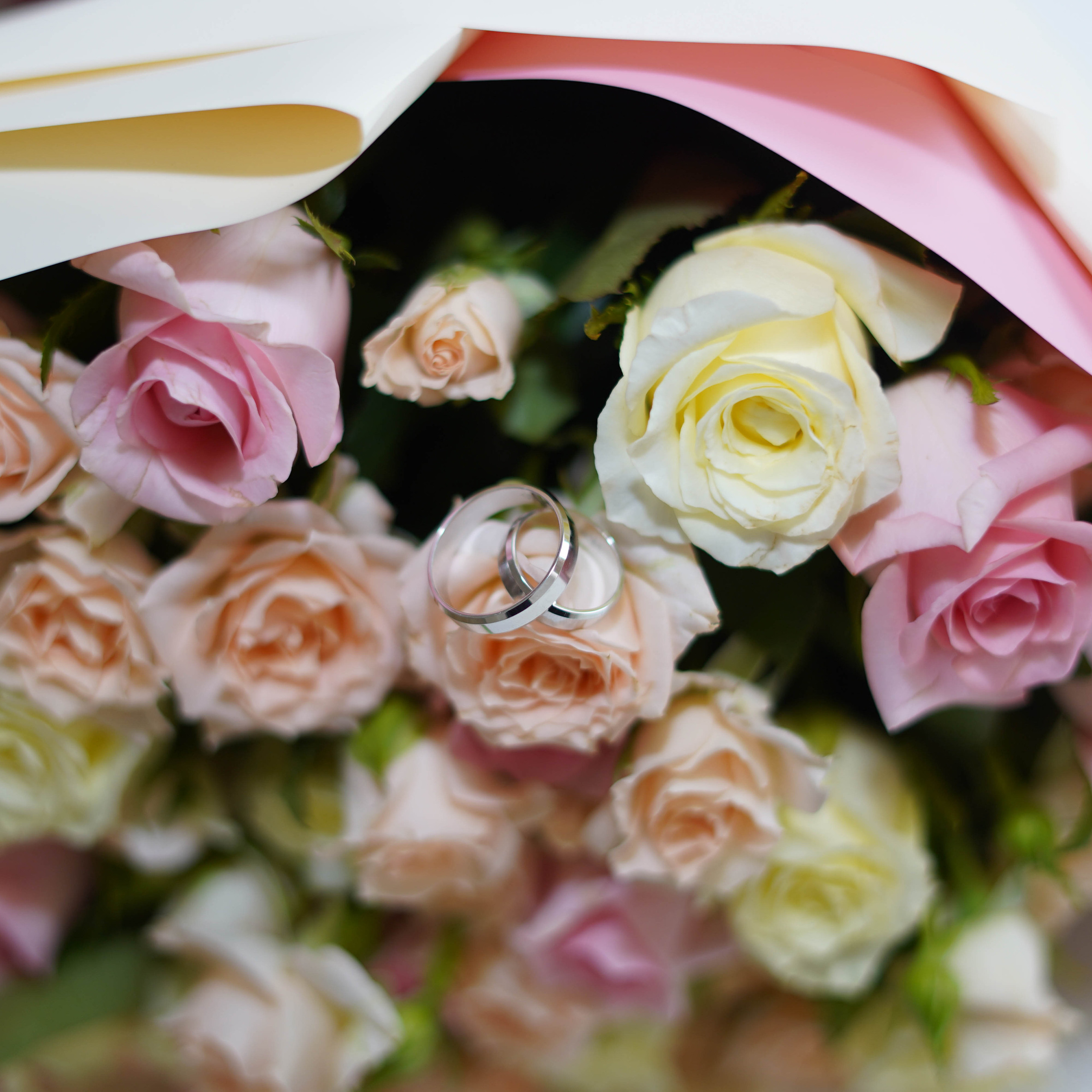 Отзывы. Фотограф Волгоград Анастасия Ли