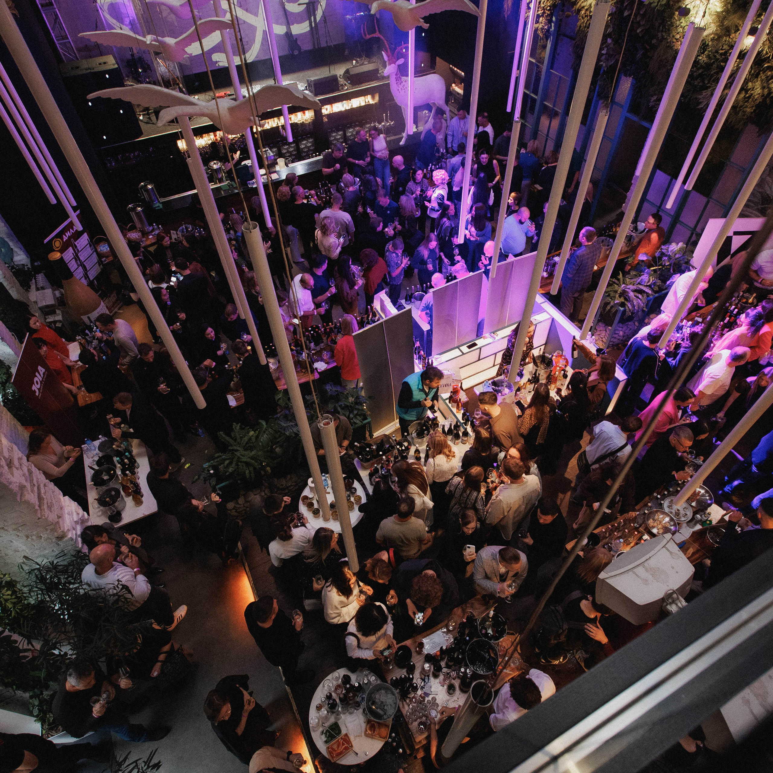 RESNOTA — ГРЕЧЕСКАЯ ВЕЧЕРИНКА. СВОИ. ФОТООТЧЕТЫ-СОБЫТИЯ-МЕСТА