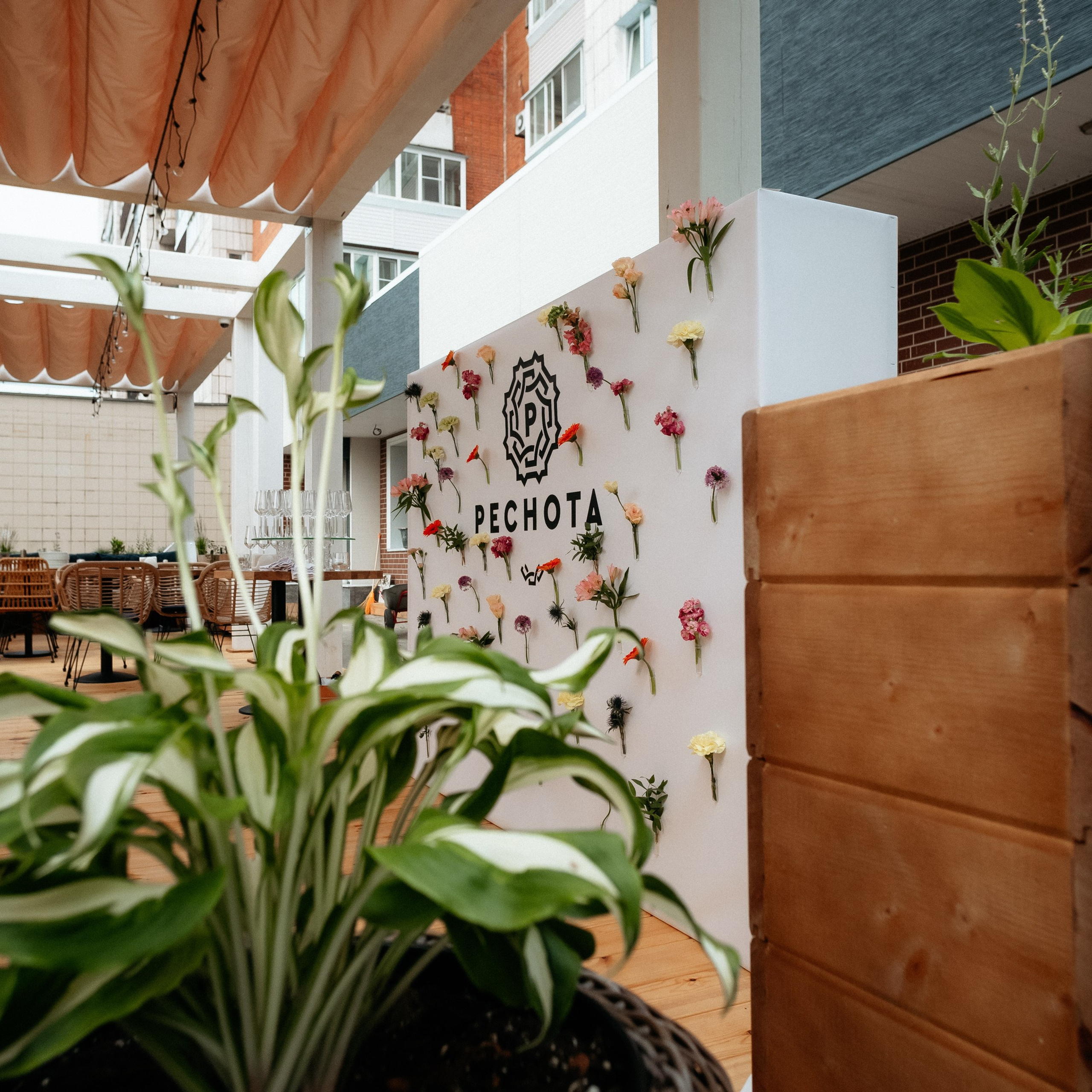 ХАРИБУ 1 ГОД. СВОИ. ФОТООТЧЕТЫ-СОБЫТИЯ-МЕСТА