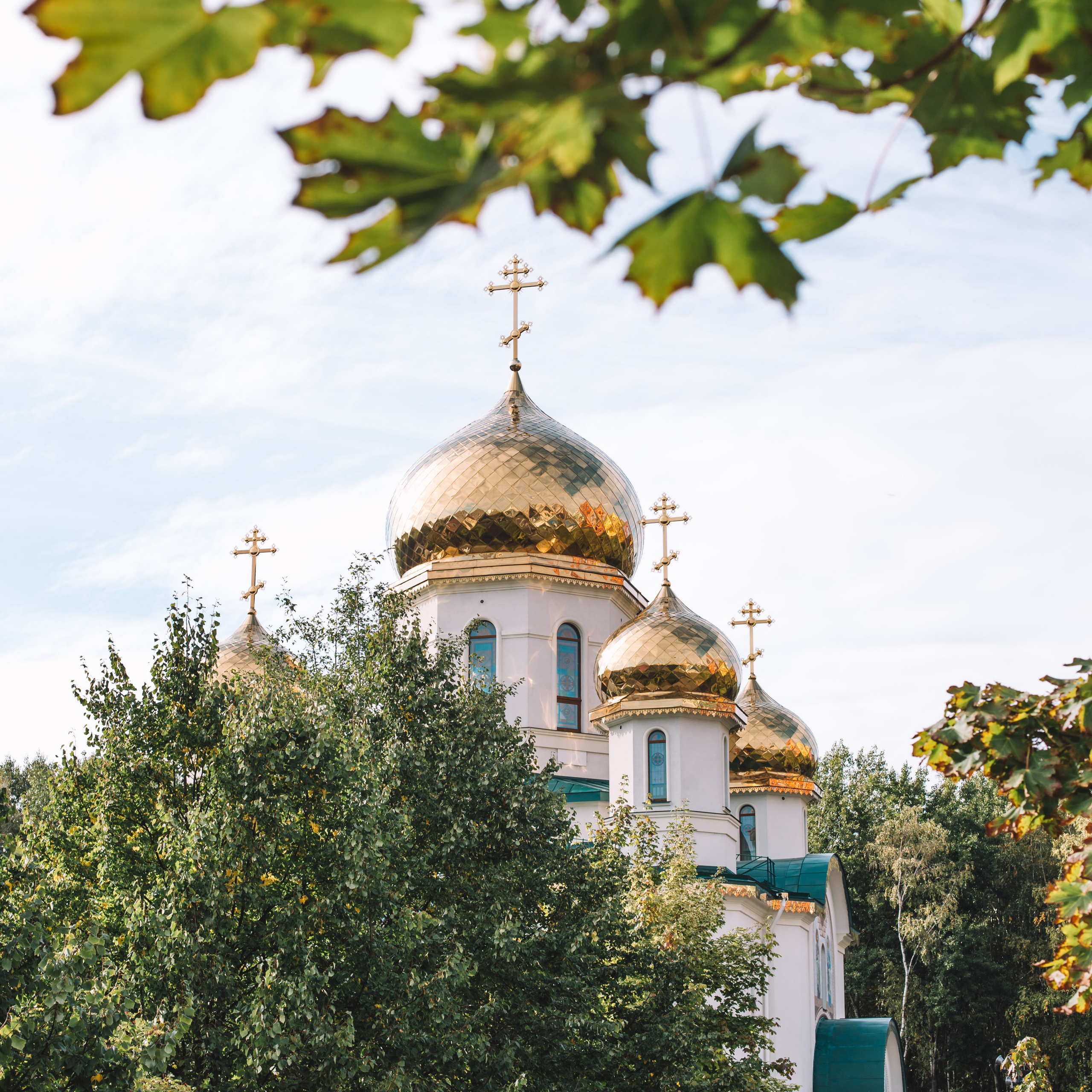 Отзывы. Семейный и детский фотограф в Санкт-Петербурге Тамара Нечаева